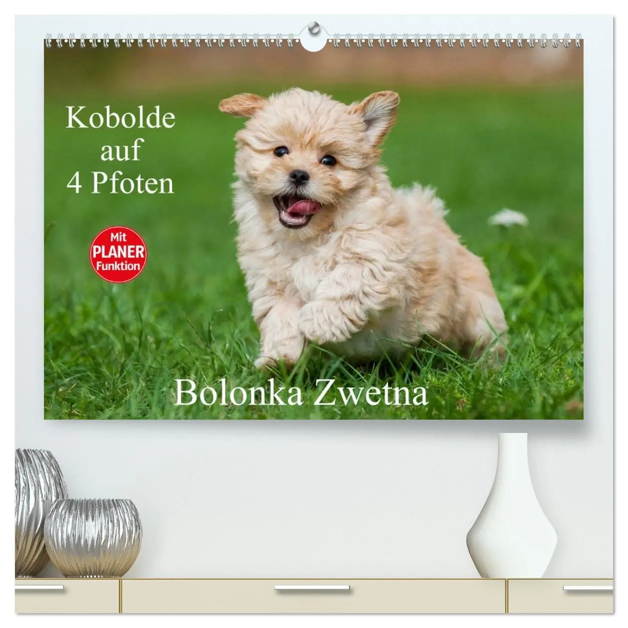 Cover: 9783516006452 | Kobolde auf 4 Pfoten - Bolonka Zwetna (hochwertiger Premium...