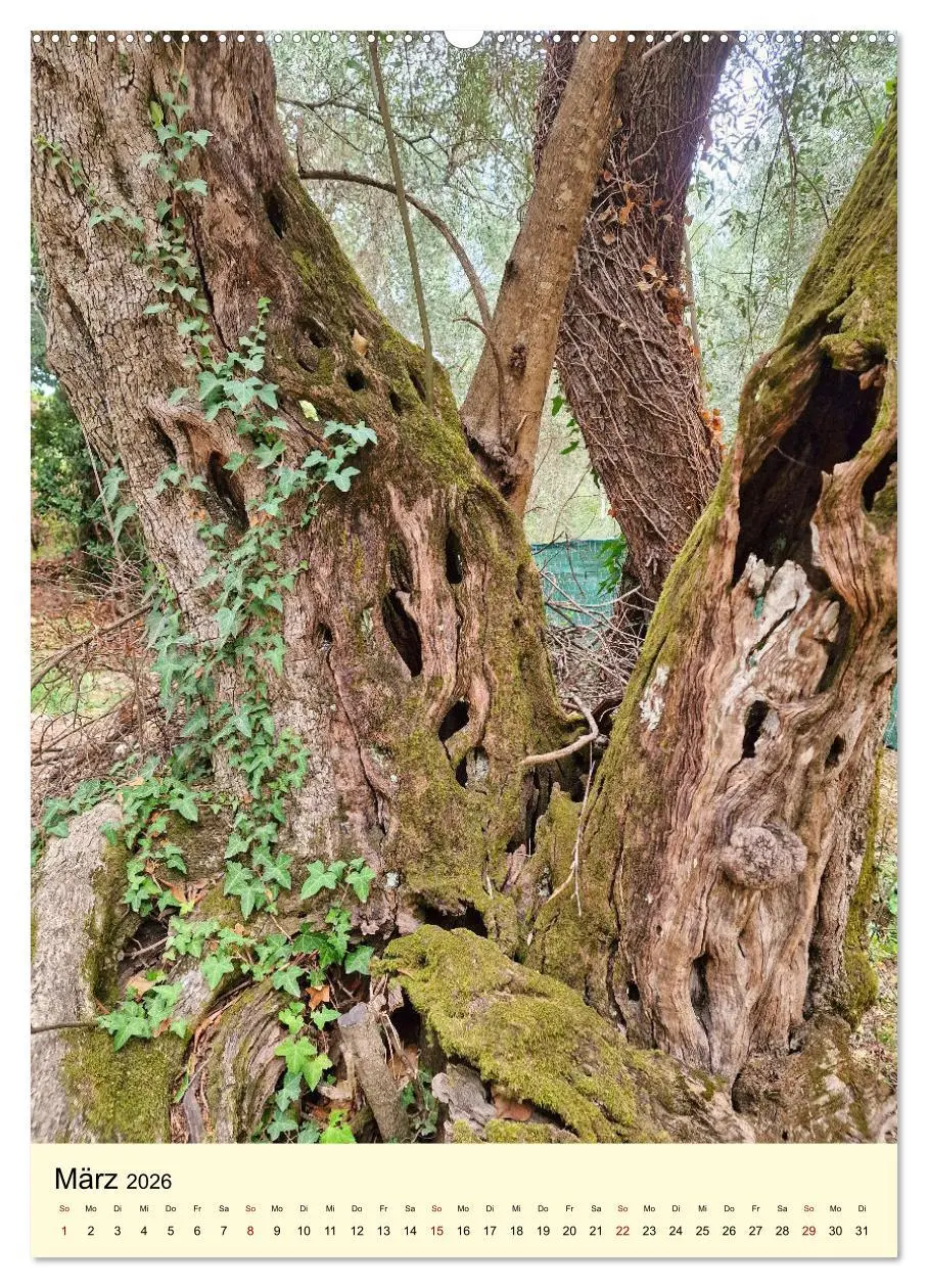 Bild: 9783516246452 | Korfu Grüne Insel im Ionischen Meer (hochwertiger Premium...
