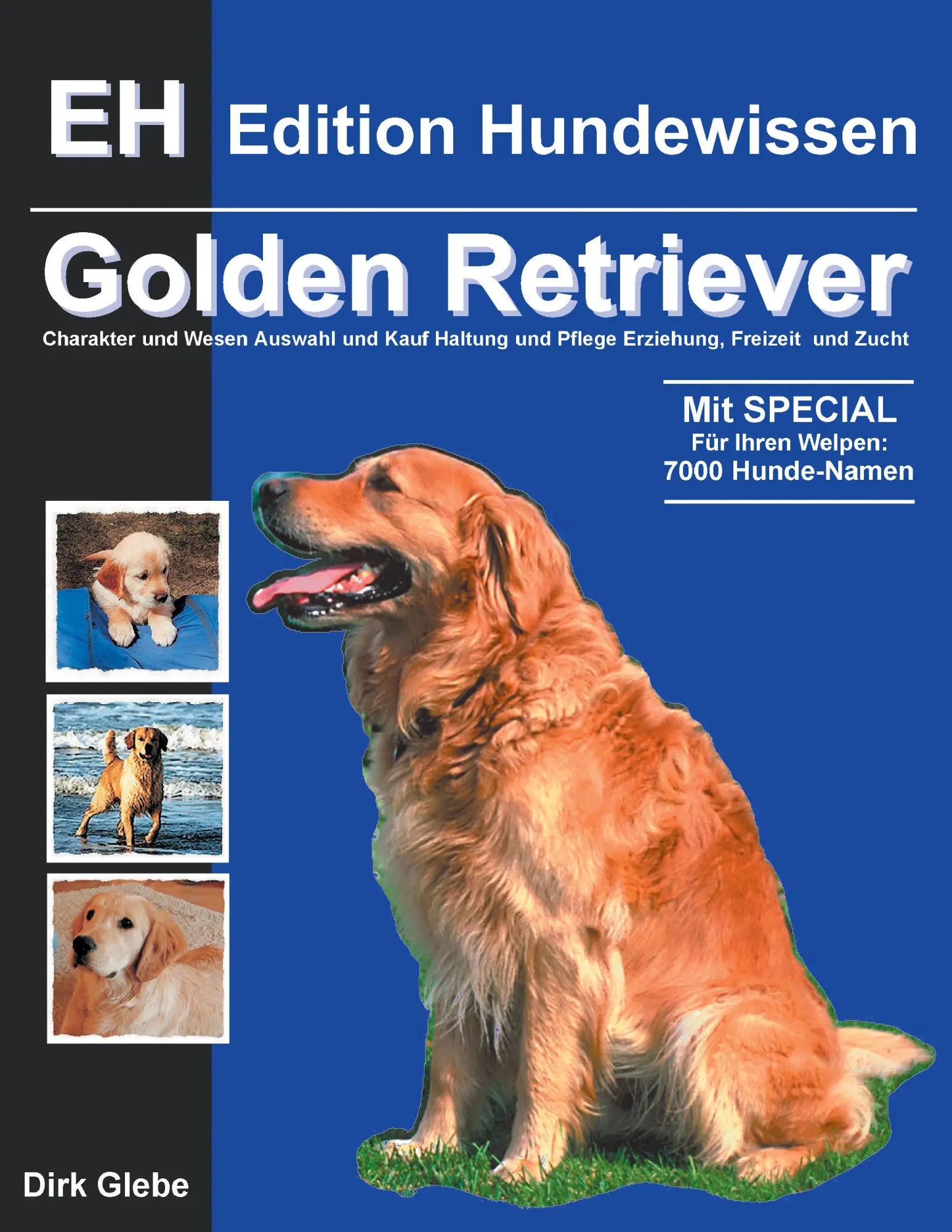 Cover: 9783831126552 | Golden Retriever | Dirk Glebe | Taschenbuch | 120 S. | Deutsch | 2001