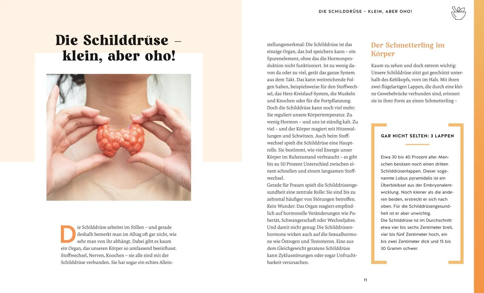 Bild: 9783833896552 | Meine Gesundheitsretter aus der Natur für eine starke Schilddrüse
