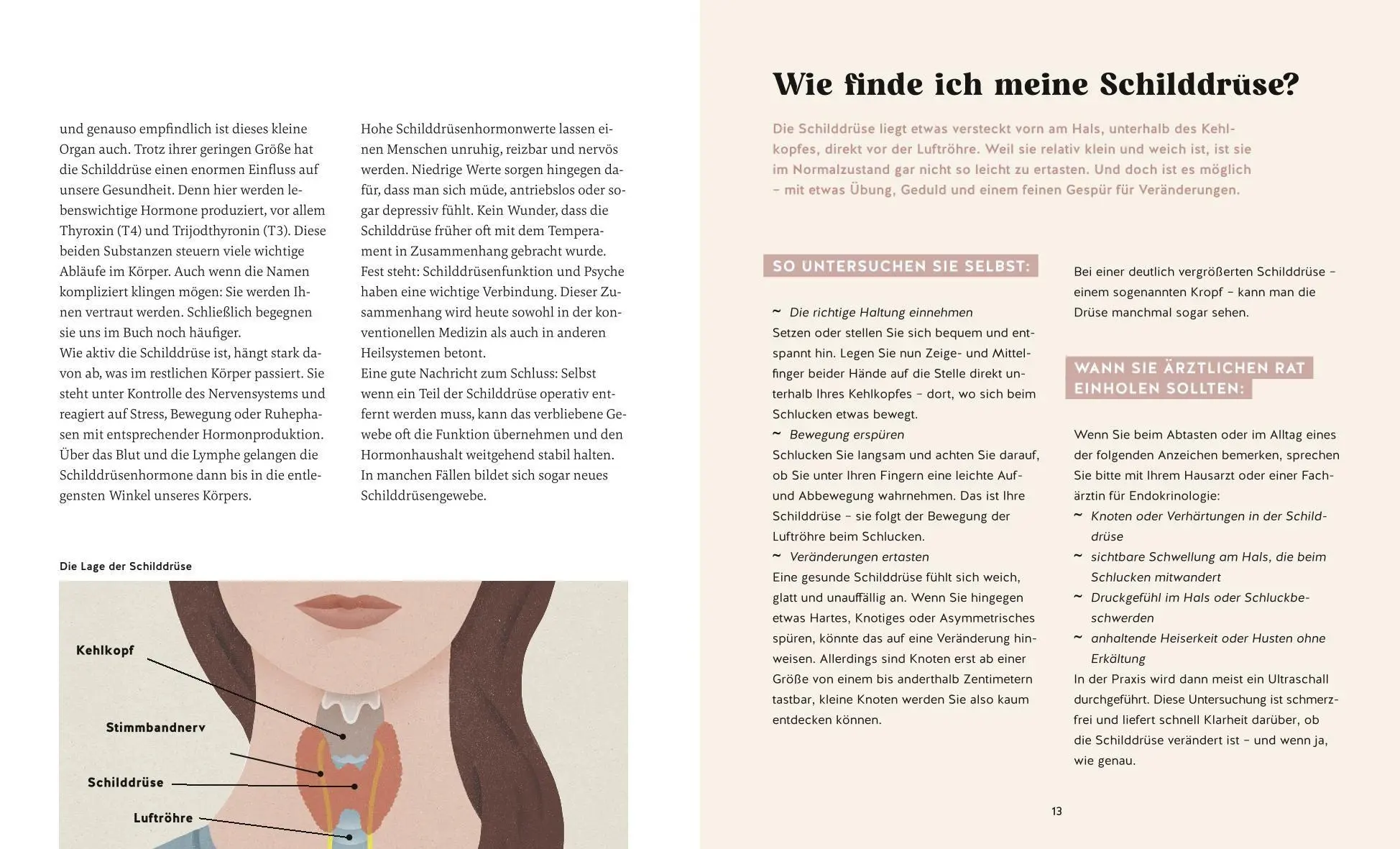 Bild: 9783833896552 | Meine Gesundheitsretter aus der Natur für eine starke Schilddrüse