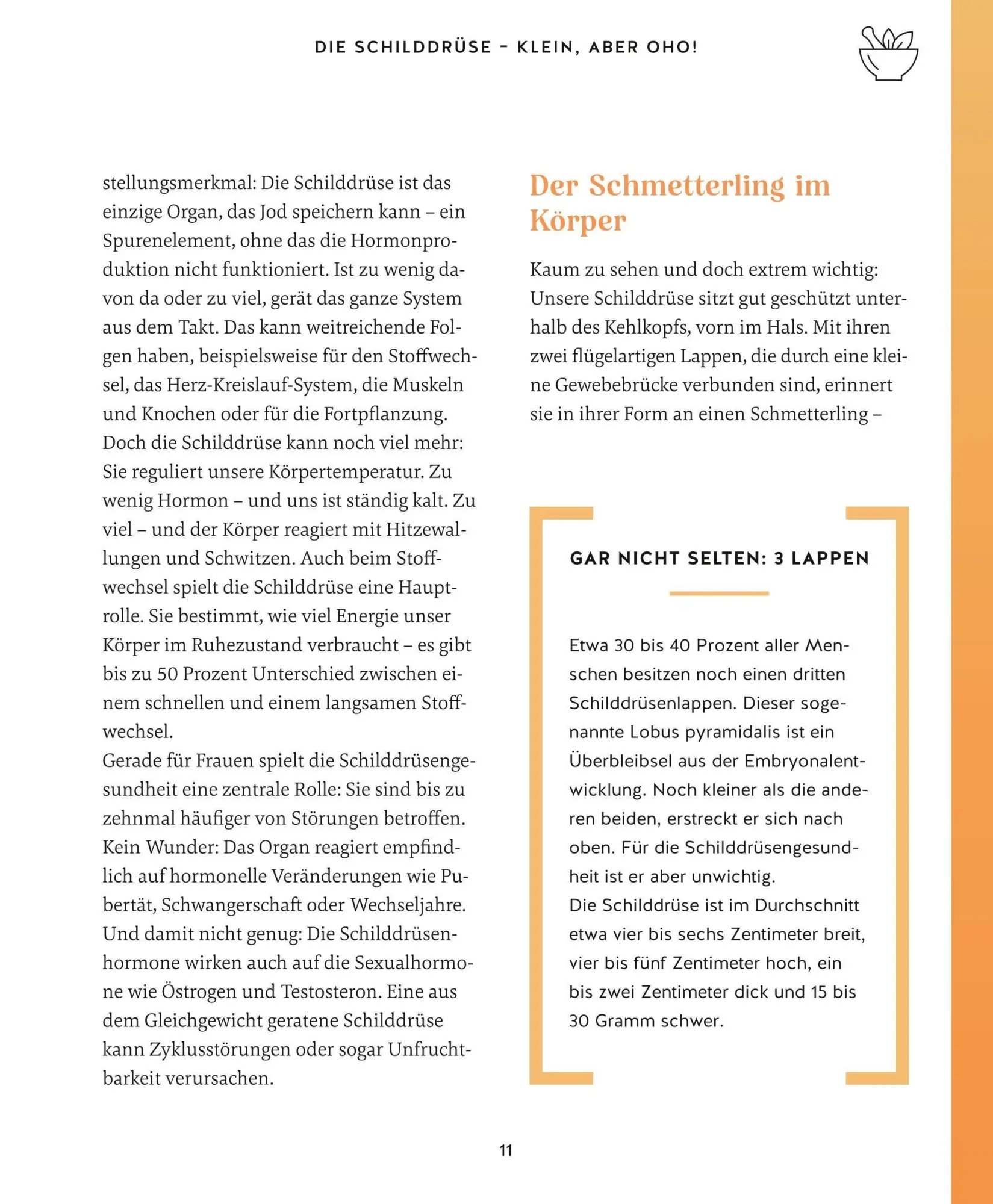 Bild: 9783833896552 | Meine Gesundheitsretter aus der Natur für eine starke Schilddrüse