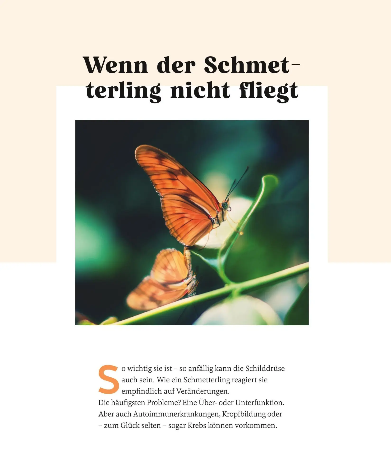 Bild: 9783833896552 | Meine Gesundheitsretter aus der Natur für eine starke Schilddrüse