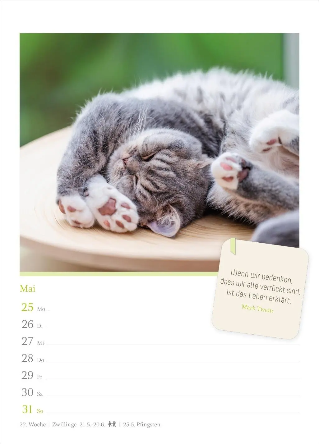 Bild: 9783840036552 | Katzenglück Wochenkalender 2026 - mit Zitaten | Harenberg | Kalender