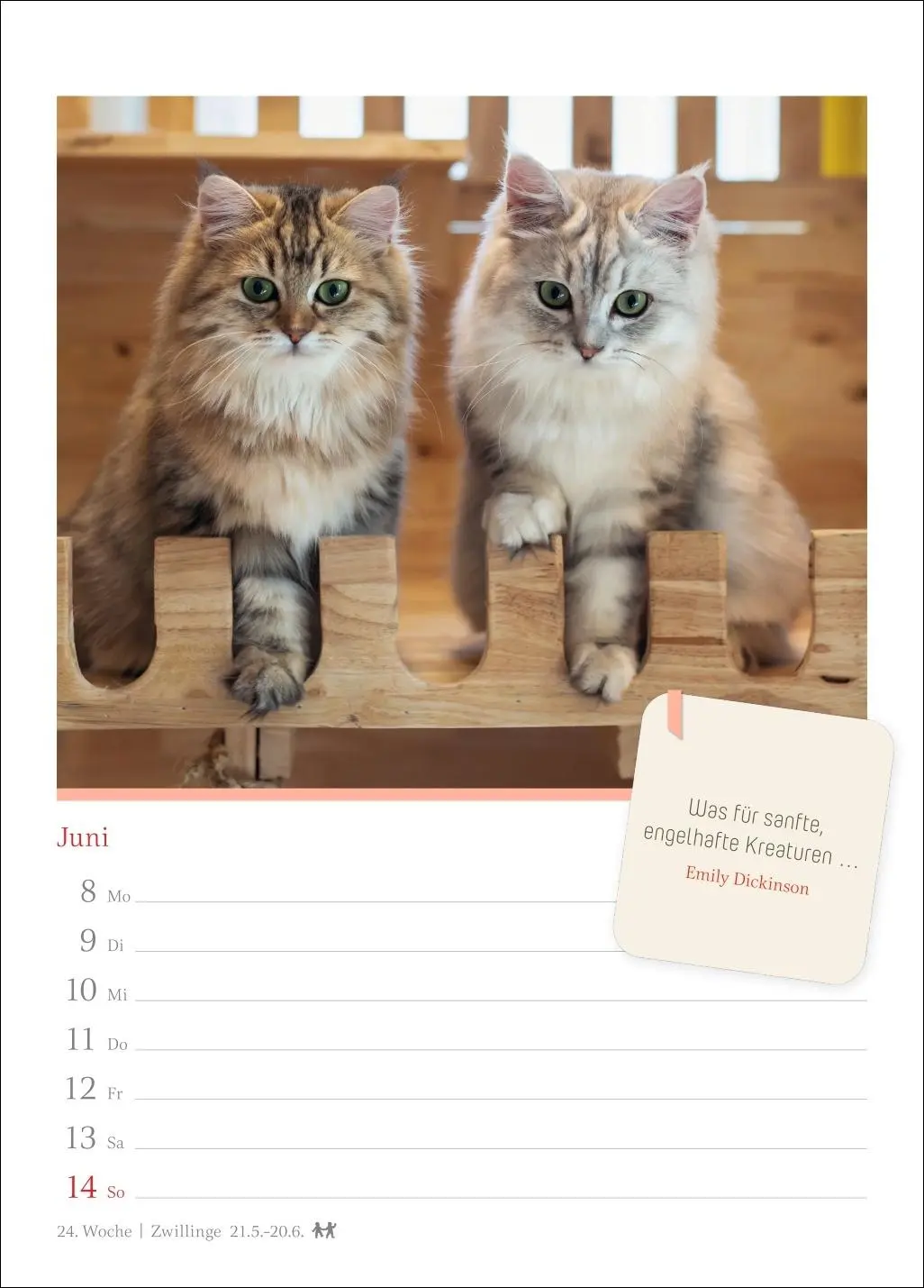 Bild: 9783840036552 | Katzenglück Wochenkalender 2026 - mit Zitaten | Harenberg | Kalender