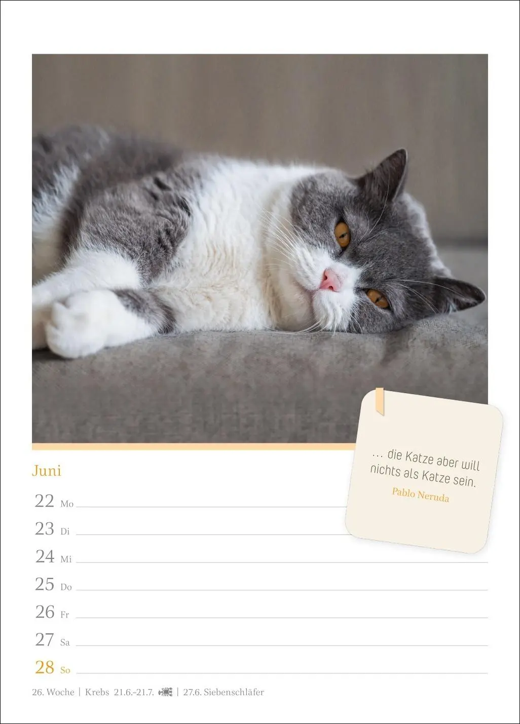 Bild: 9783840036552 | Katzenglück Wochenkalender 2026 - mit Zitaten | Harenberg | Kalender