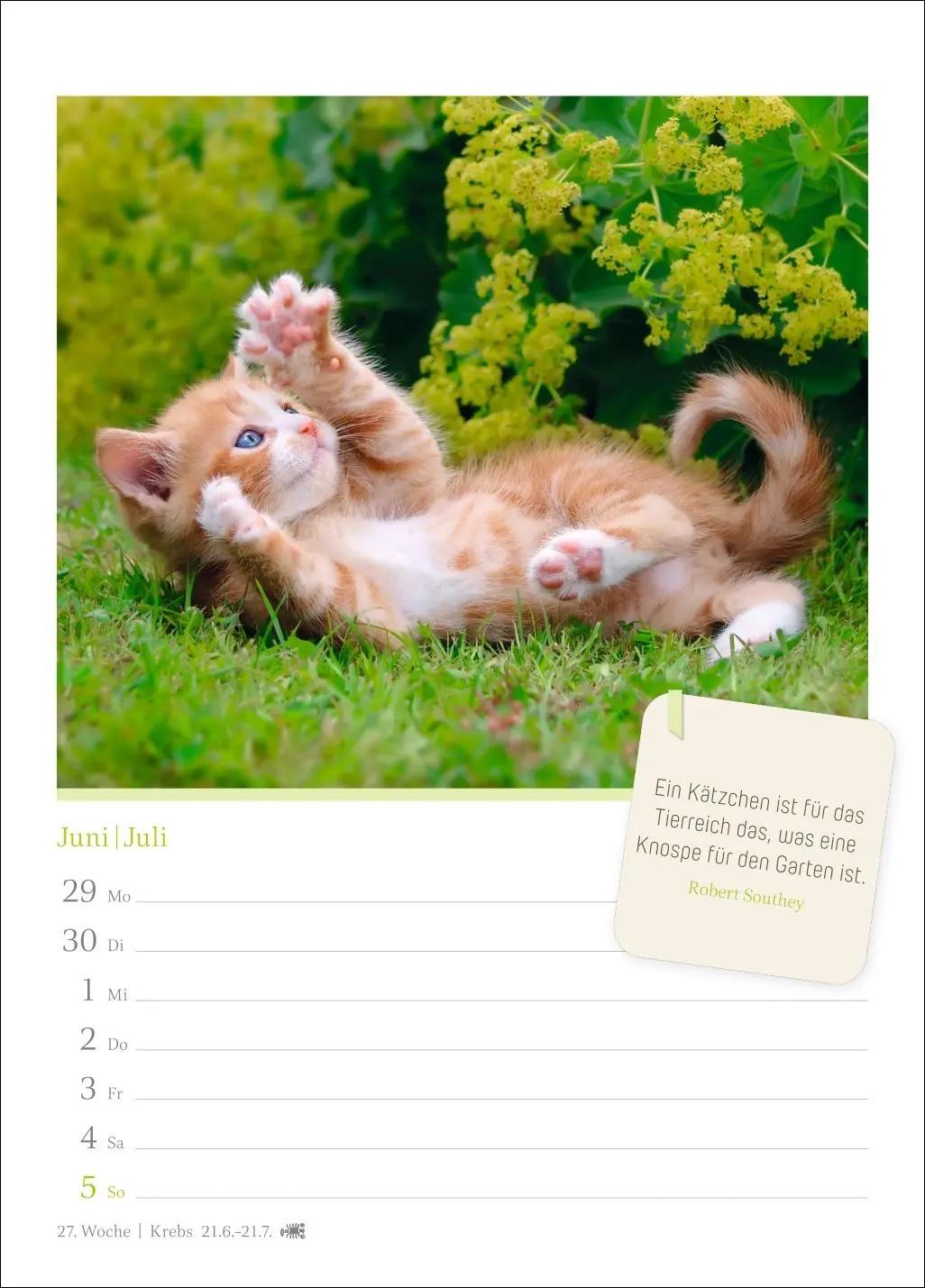 Bild: 9783840036552 | Katzenglück Wochenkalender 2026 - mit Zitaten | Harenberg | Kalender