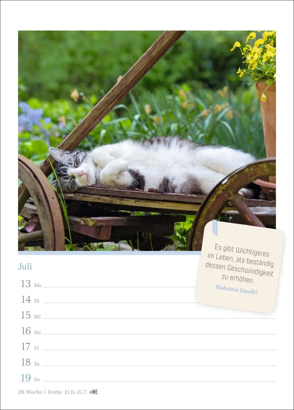 Bild: 9783840036552 | Katzenglück Wochenkalender 2026 - mit Zitaten | Harenberg | Kalender