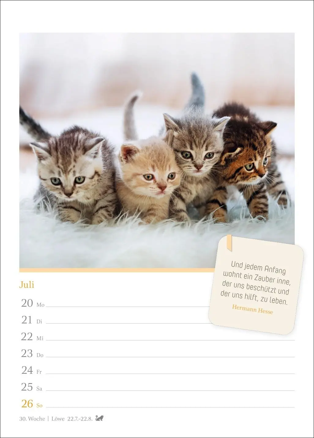 Bild: 9783840036552 | Katzenglück Wochenkalender 2026 - mit Zitaten | Harenberg | Kalender