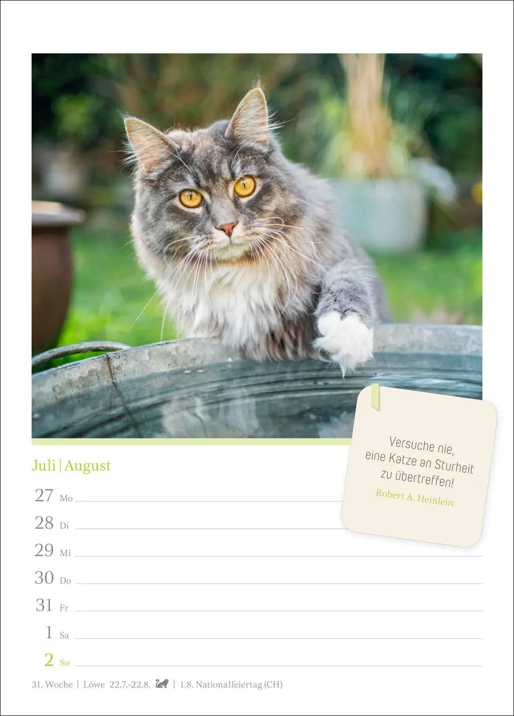 Bild: 9783840036552 | Katzenglück Wochenkalender 2026 - mit Zitaten | Harenberg | Kalender