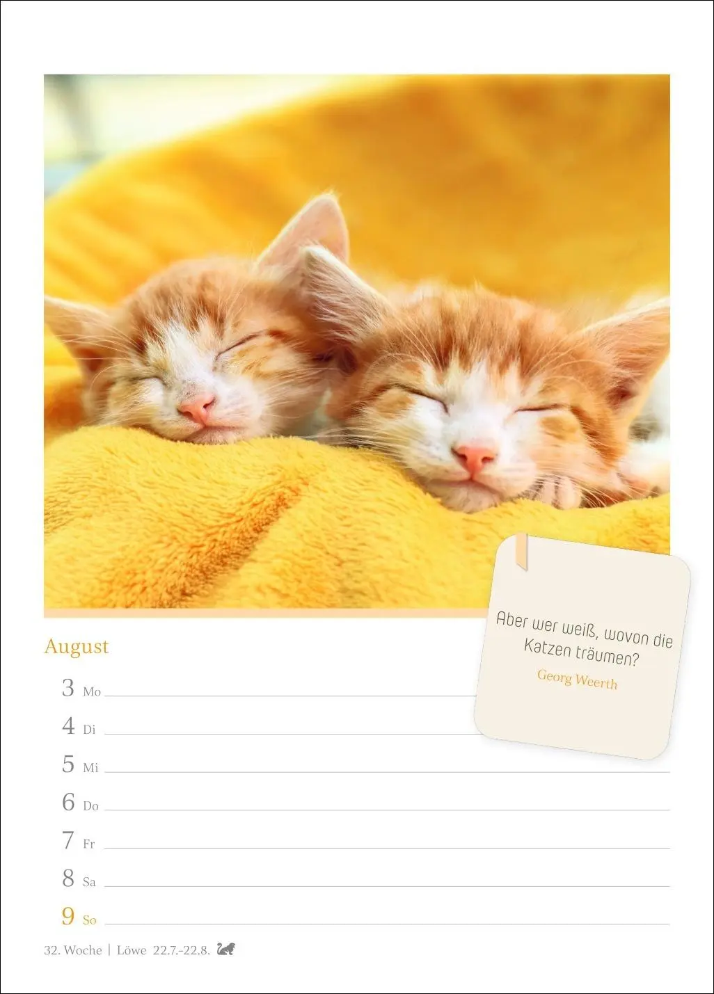 Bild: 9783840036552 | Katzenglück Wochenkalender 2026 - mit Zitaten | Harenberg | Kalender