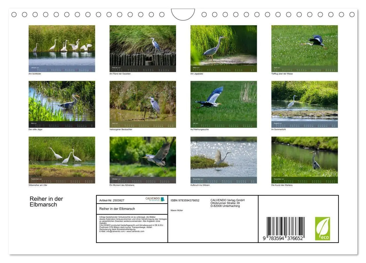 Bild: 9783594376652 | Reiher in der Elbmarsch (Wandkalender 2027 DIN A4 quer), CALVENDO...