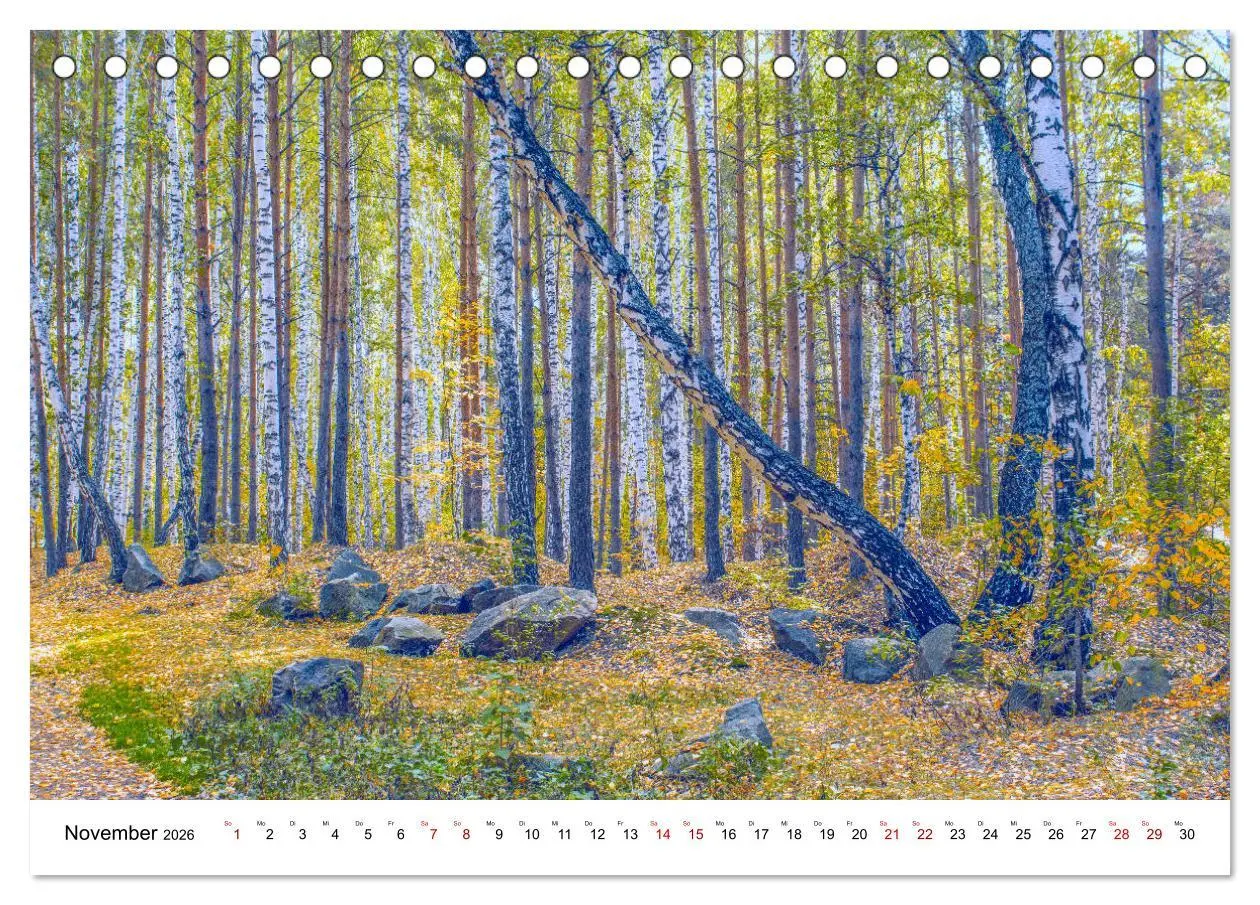 Bild: 9783457676752 | Russland wie gemalt (Tischkalender 2026 DIN A5 quer), CALVENDO...