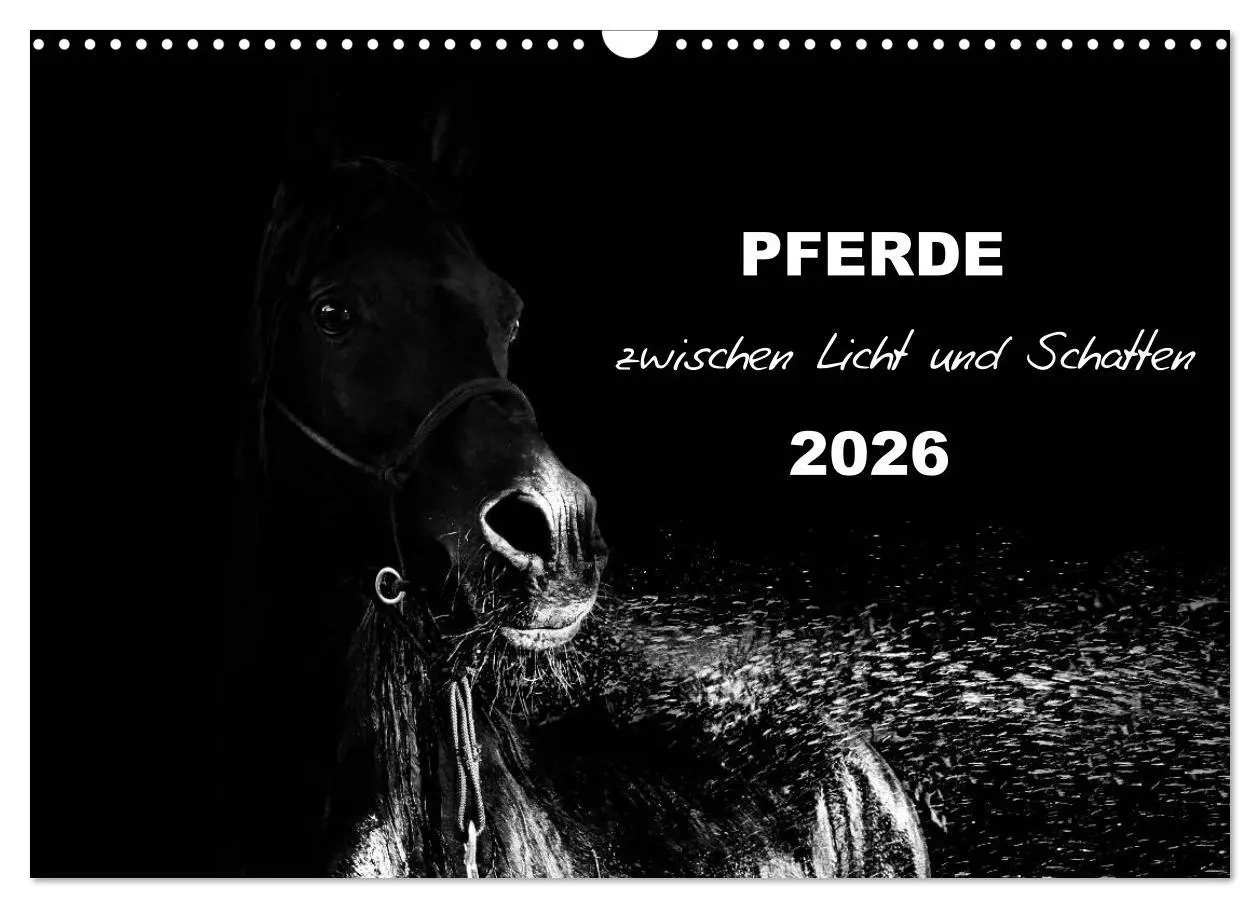 Cover: 9783516076752 | Pferde zwischen Licht und Schatten (Wandkalender 2026 DIN A3 quer),...