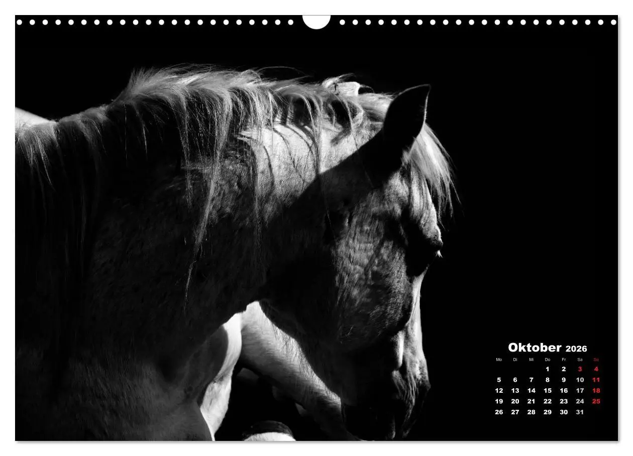 Bild: 9783516076752 | Pferde zwischen Licht und Schatten (Wandkalender 2026 DIN A3 quer),...