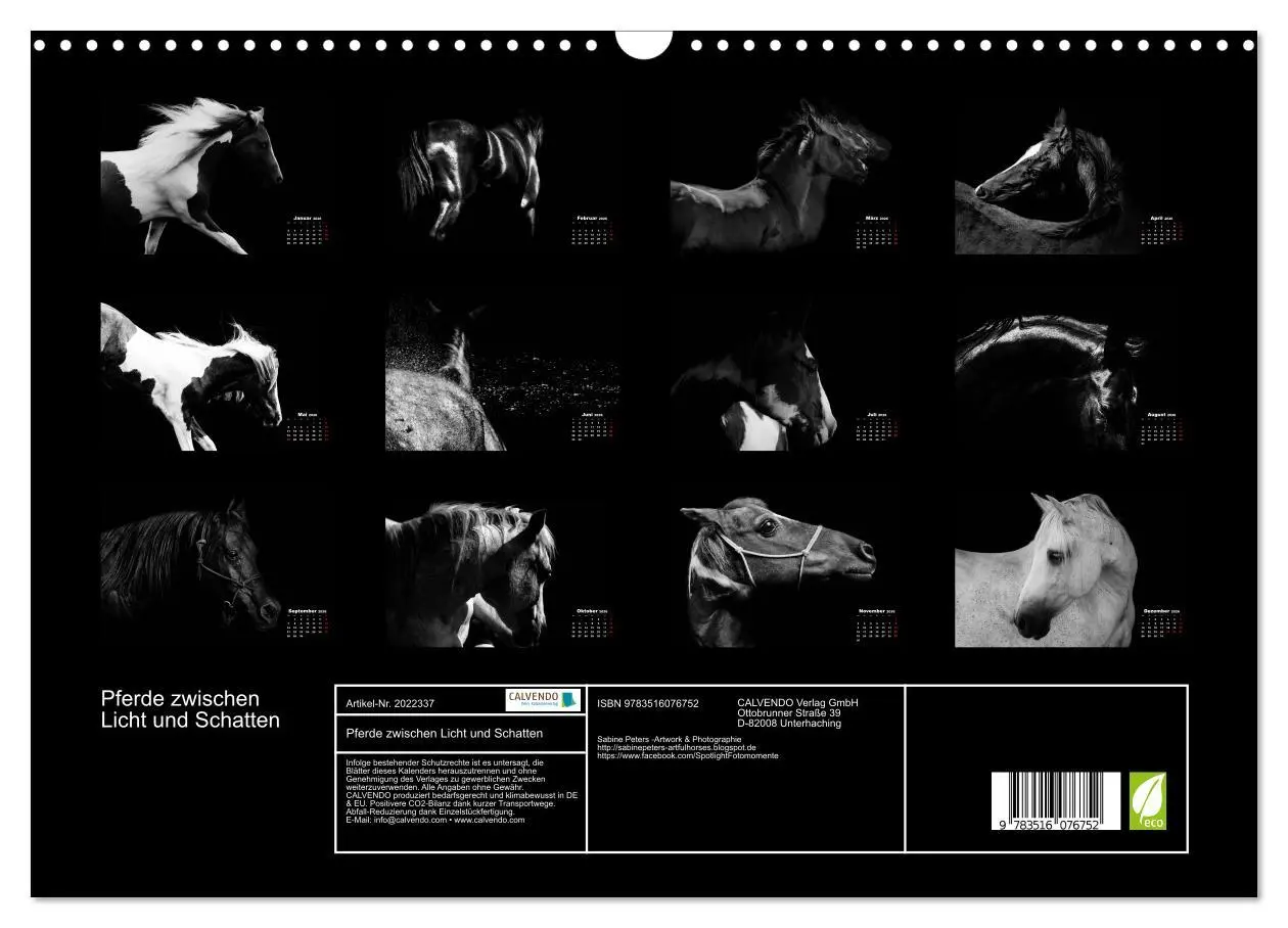 Bild: 9783516076752 | Pferde zwischen Licht und Schatten (Wandkalender 2026 DIN A3 quer),...