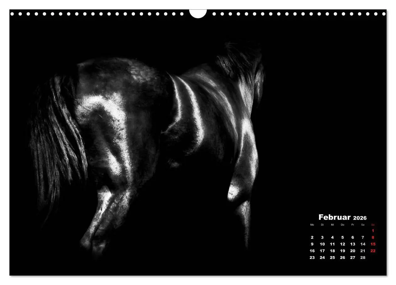 Bild: 9783516076752 | Pferde zwischen Licht und Schatten (Wandkalender 2026 DIN A3 quer),...