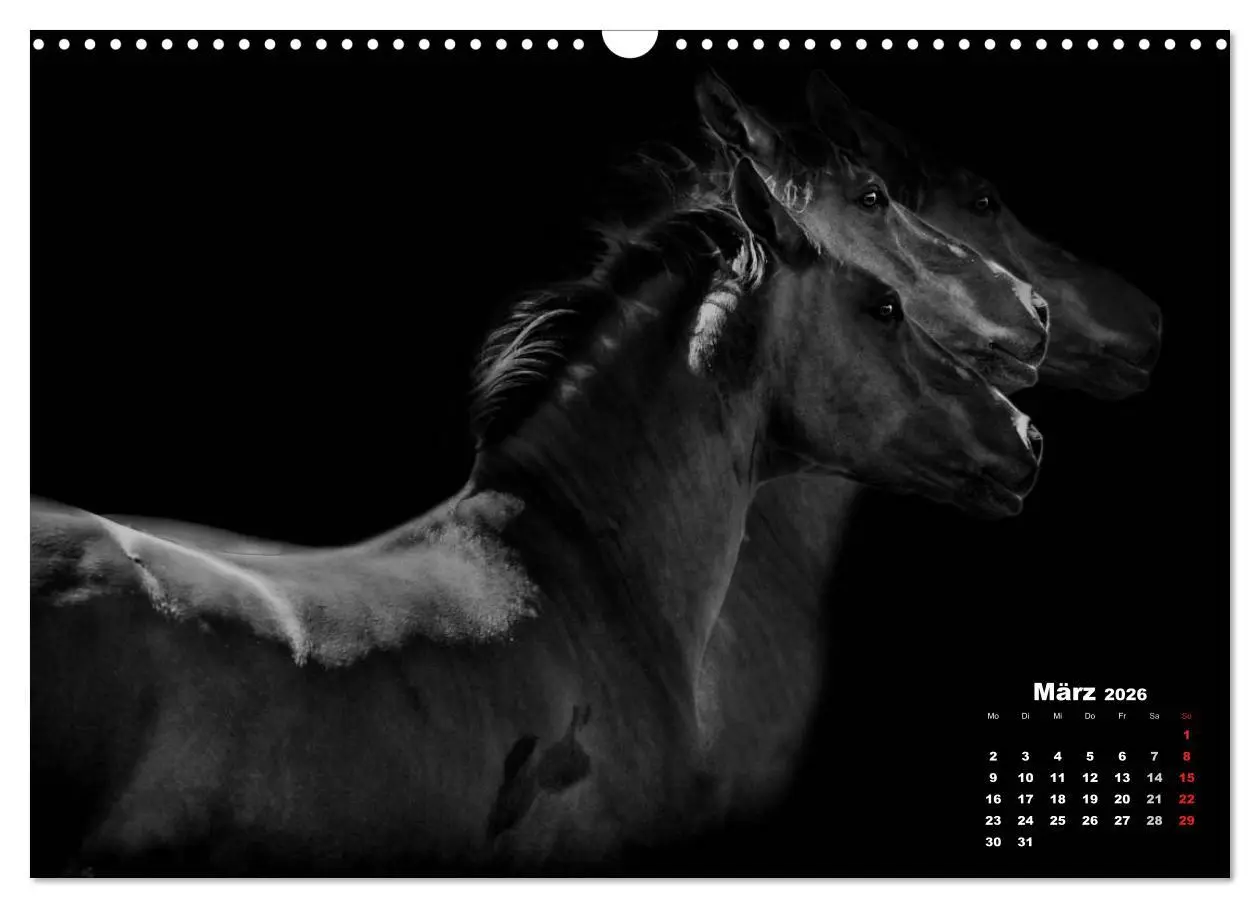 Bild: 9783516076752 | Pferde zwischen Licht und Schatten (Wandkalender 2026 DIN A3 quer),...