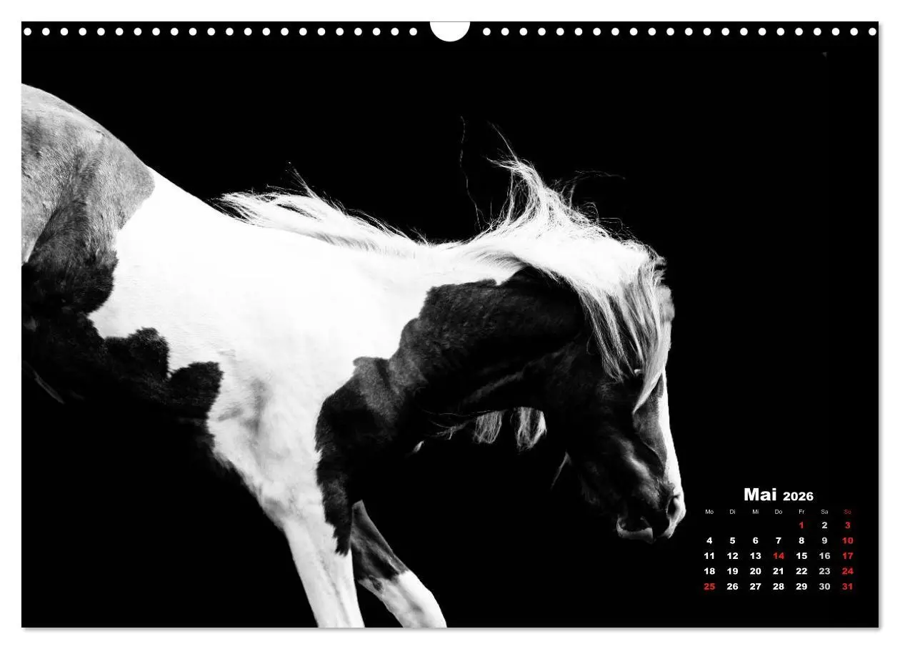Bild: 9783516076752 | Pferde zwischen Licht und Schatten (Wandkalender 2026 DIN A3 quer),...