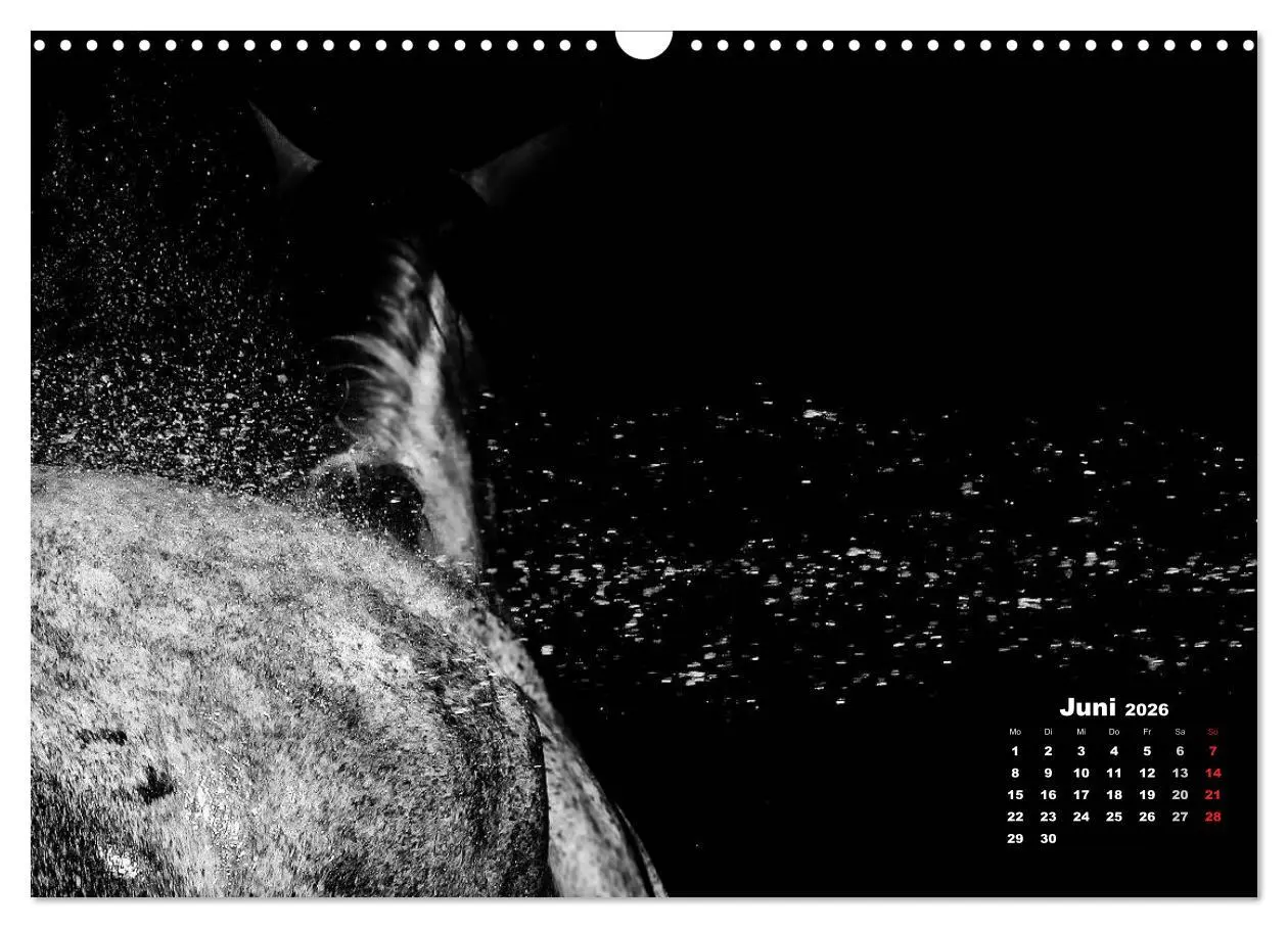 Bild: 9783516076752 | Pferde zwischen Licht und Schatten (Wandkalender 2026 DIN A3 quer),...