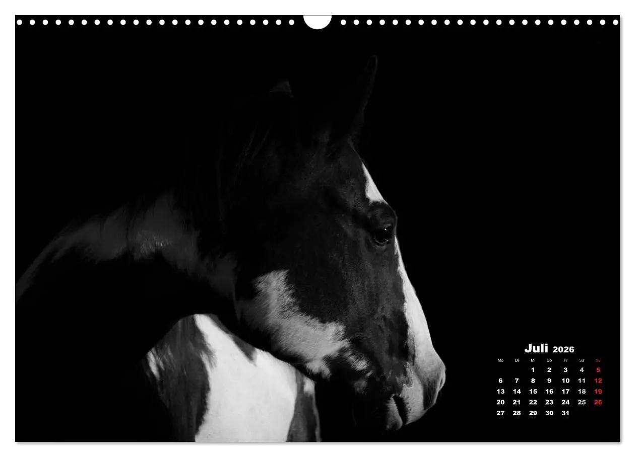 Bild: 9783516076752 | Pferde zwischen Licht und Schatten (Wandkalender 2026 DIN A3 quer),...