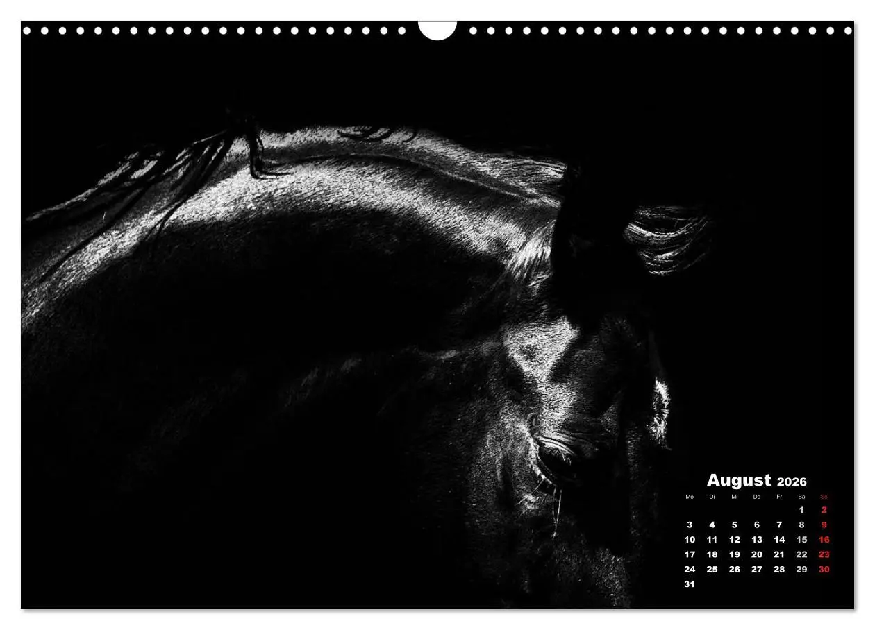 Bild: 9783516076752 | Pferde zwischen Licht und Schatten (Wandkalender 2026 DIN A3 quer),...