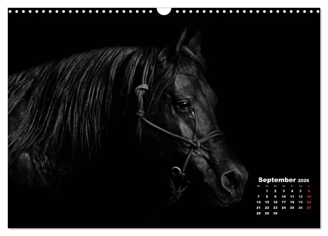 Bild: 9783516076752 | Pferde zwischen Licht und Schatten (Wandkalender 2026 DIN A3 quer),...
