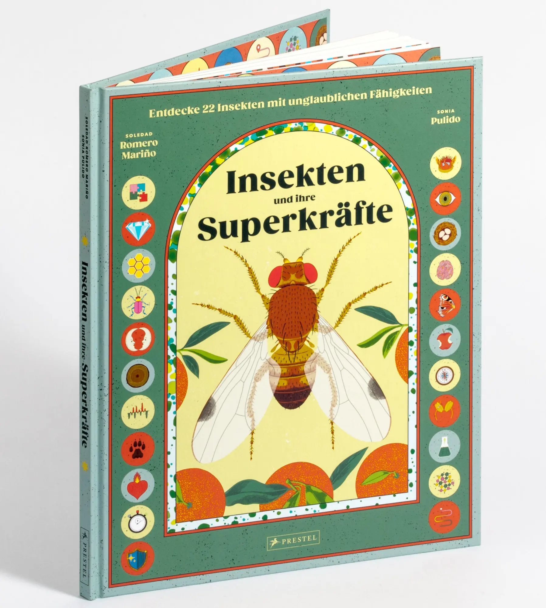 Cover: 9783791376752 | Insekten und ihre Superkräfte | Soledad Romero Mariño (u. a.) | Buch