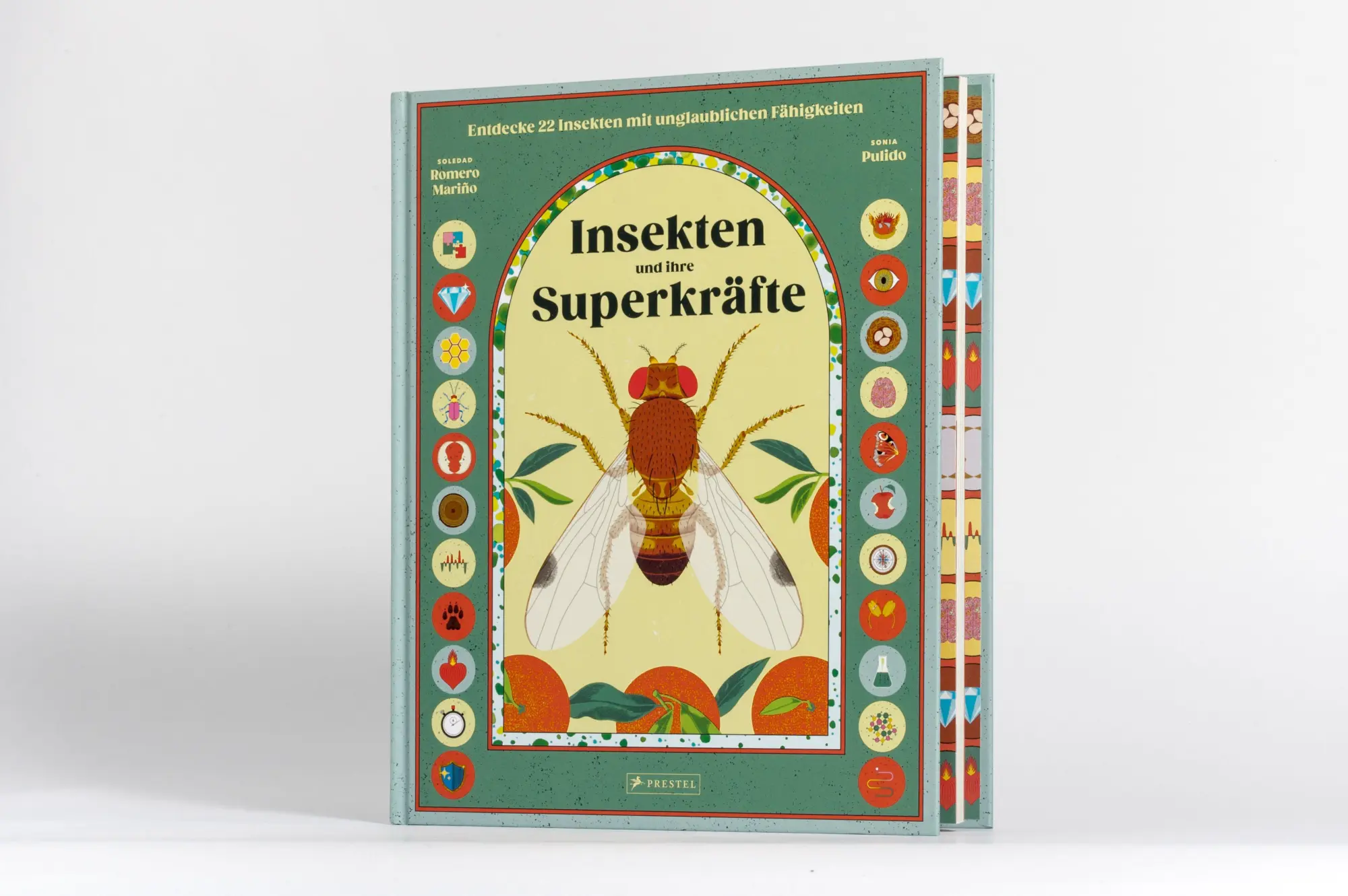 Bild: 9783791376752 | Insekten und ihre Superkräfte | Soledad Romero Mariño (u. a.) | Buch
