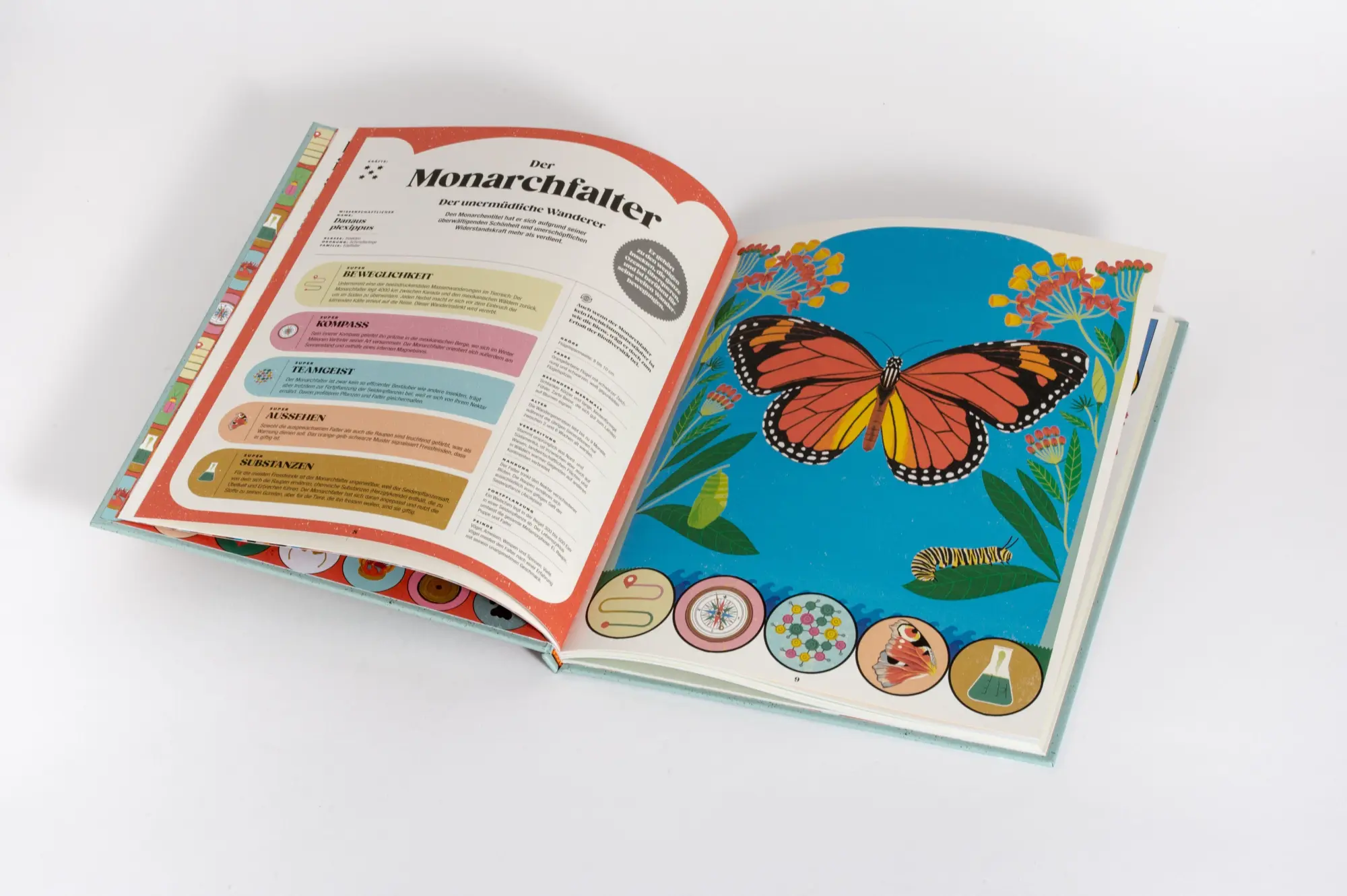 Bild: 9783791376752 | Insekten und ihre Superkräfte | Soledad Romero Mariño (u. a.) | Buch