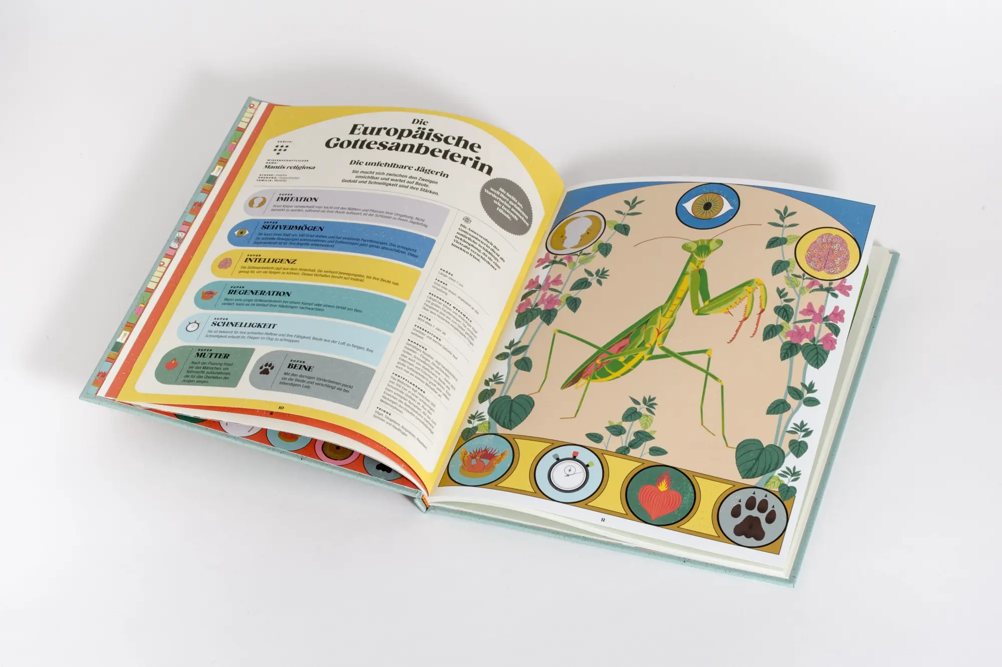 Bild: 9783791376752 | Insekten und ihre Superkräfte | Soledad Romero Mariño (u. a.) | Buch