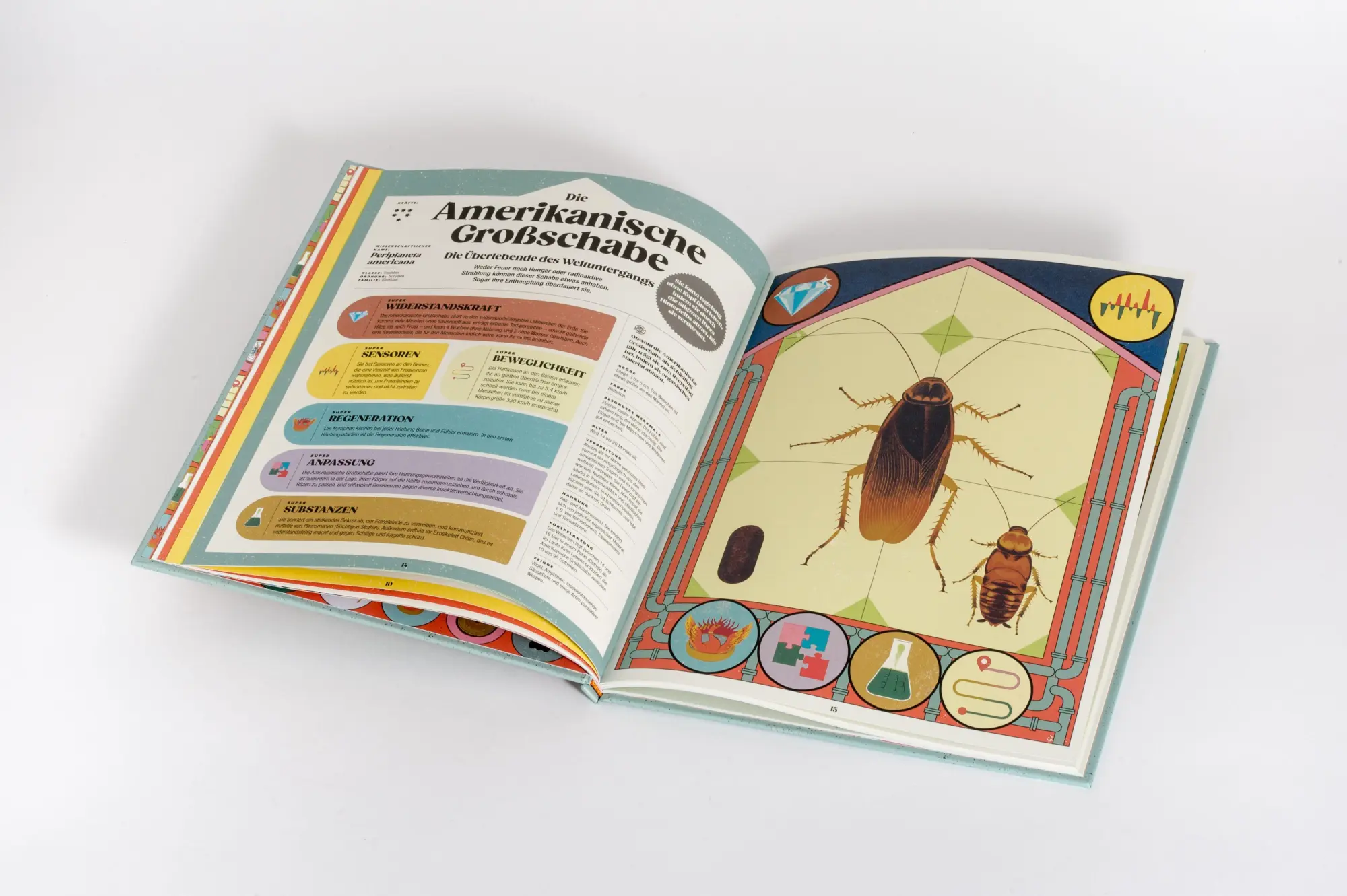 Bild: 9783791376752 | Insekten und ihre Superkräfte | Soledad Romero Mariño (u. a.) | Buch