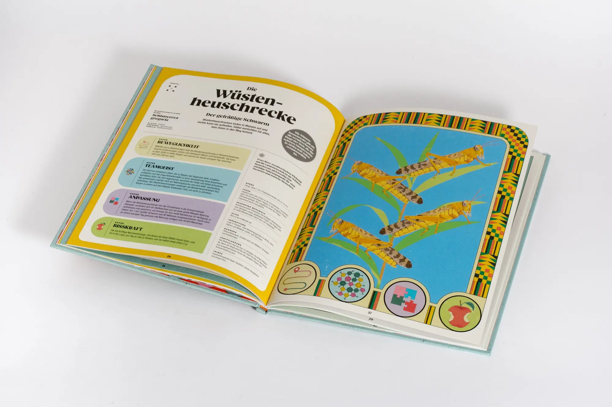 Bild: 9783791376752 | Insekten und ihre Superkräfte | Soledad Romero Mariño (u. a.) | Buch
