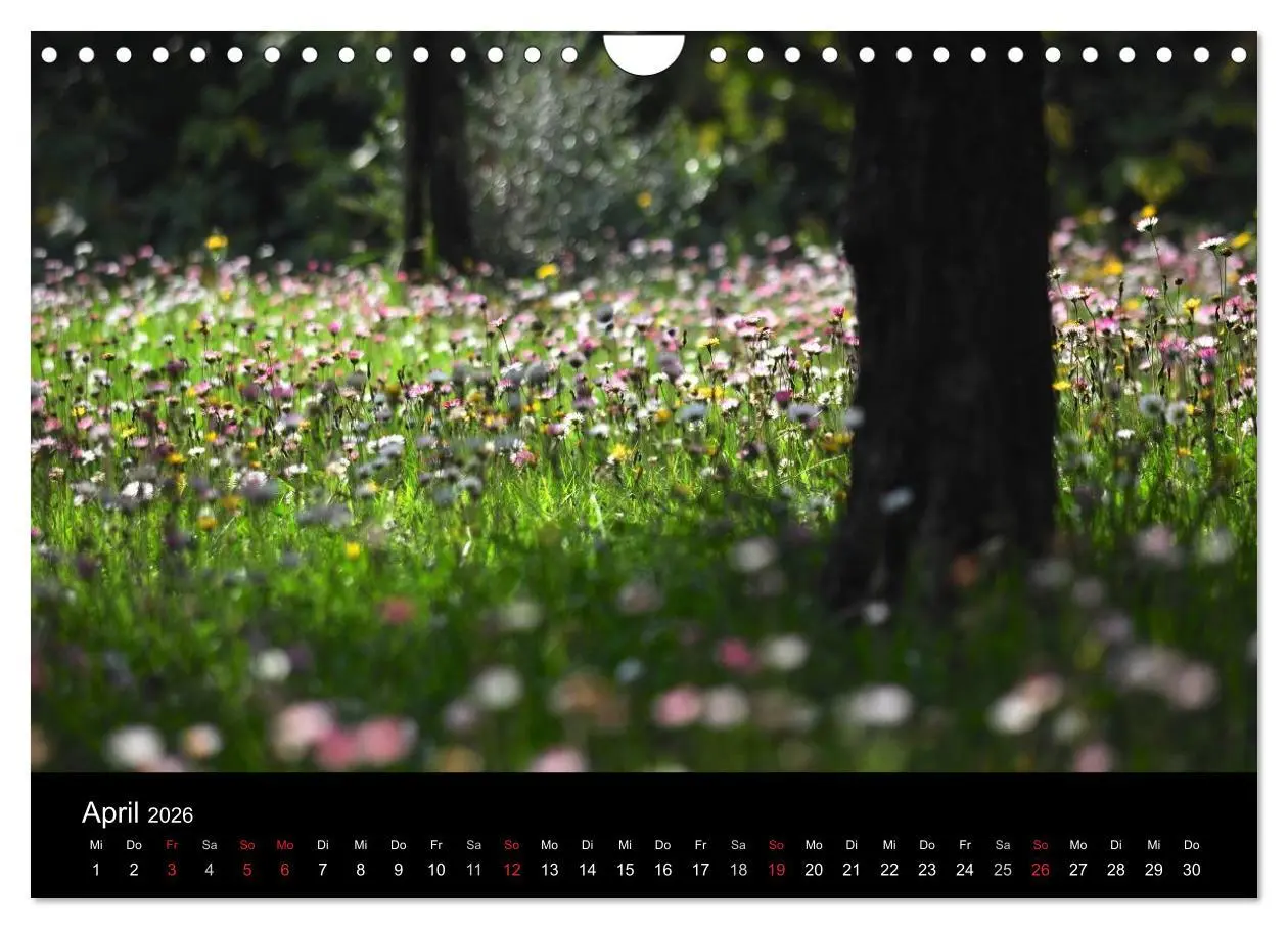 Bild: 9783457976852 | Provence 2026 - Stille Bilder (Wandkalender 2026 DIN A4 quer),...