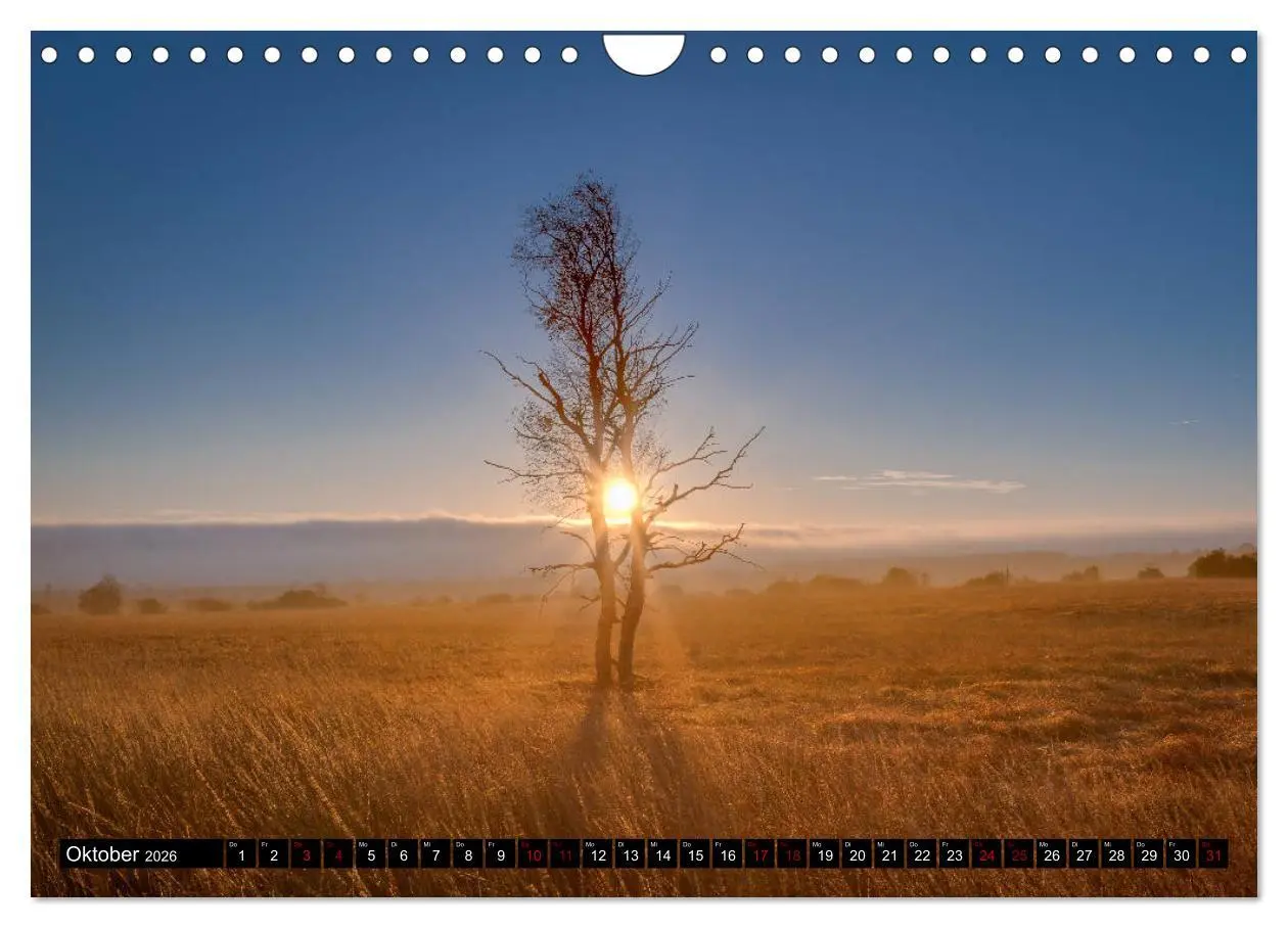 Bild: 9783457896952 | Das Hohe Venn (Wandkalender 2026 DIN A4 quer), CALVENDO Monatskalender
