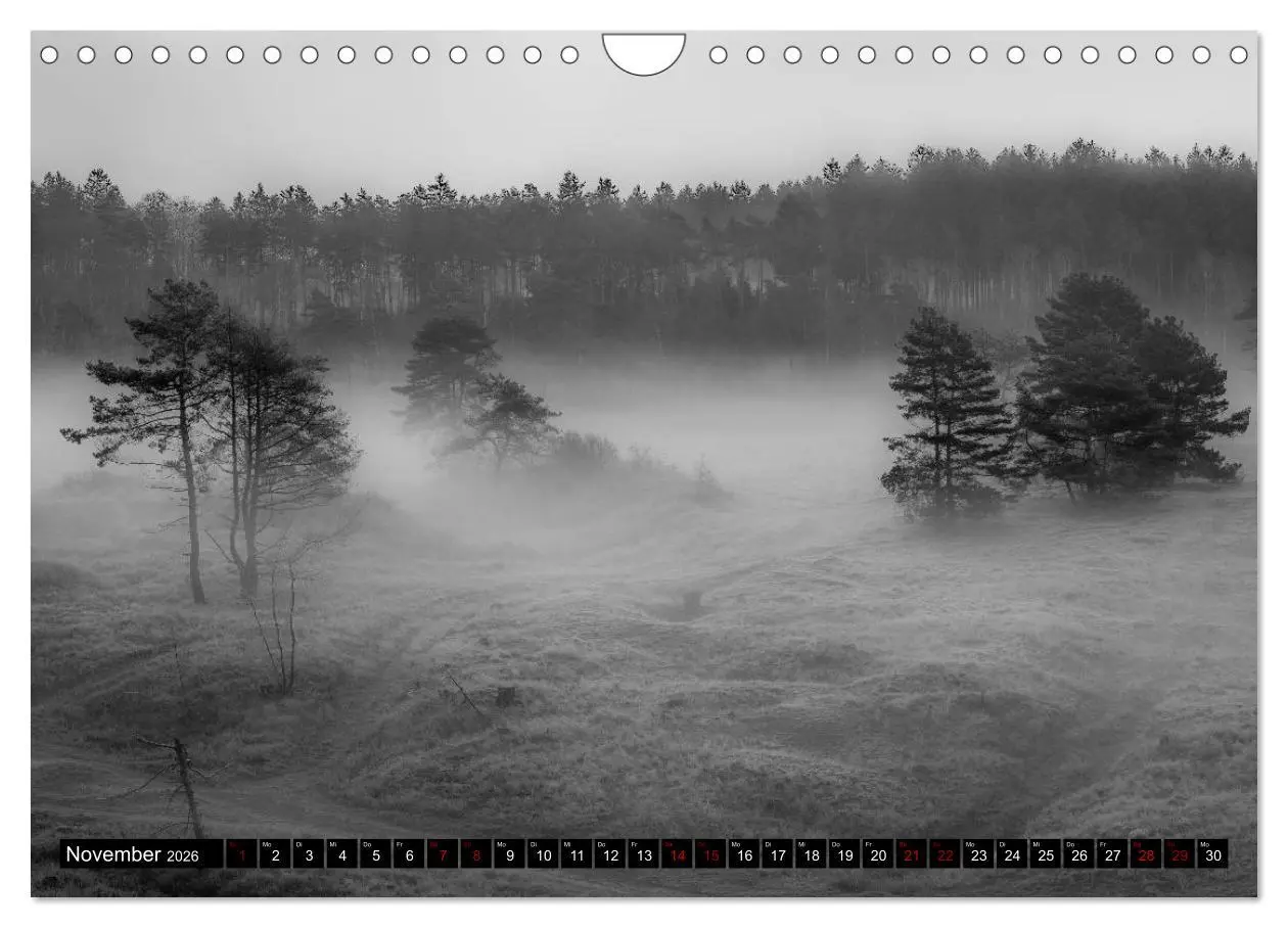 Bild: 9783457896952 | Das Hohe Venn (Wandkalender 2026 DIN A4 quer), CALVENDO Monatskalender