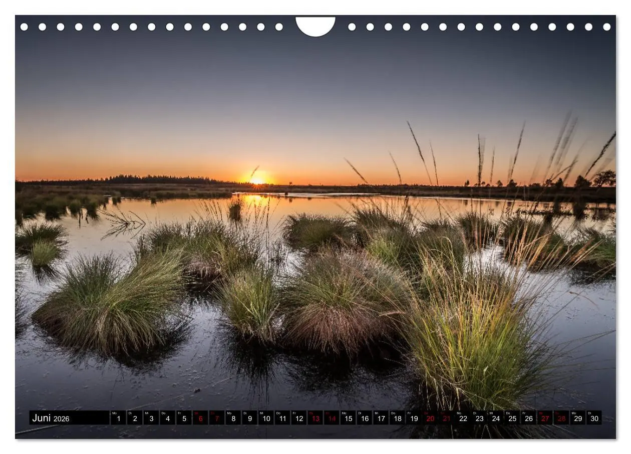 Bild: 9783457896952 | Das Hohe Venn (Wandkalender 2026 DIN A4 quer), CALVENDO Monatskalender