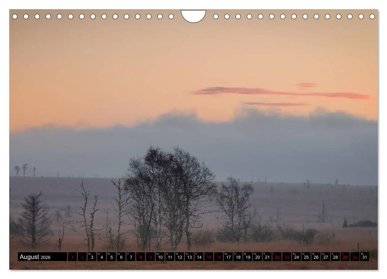 Bild: 9783457896952 | Das Hohe Venn (Wandkalender 2026 DIN A4 quer), CALVENDO Monatskalender