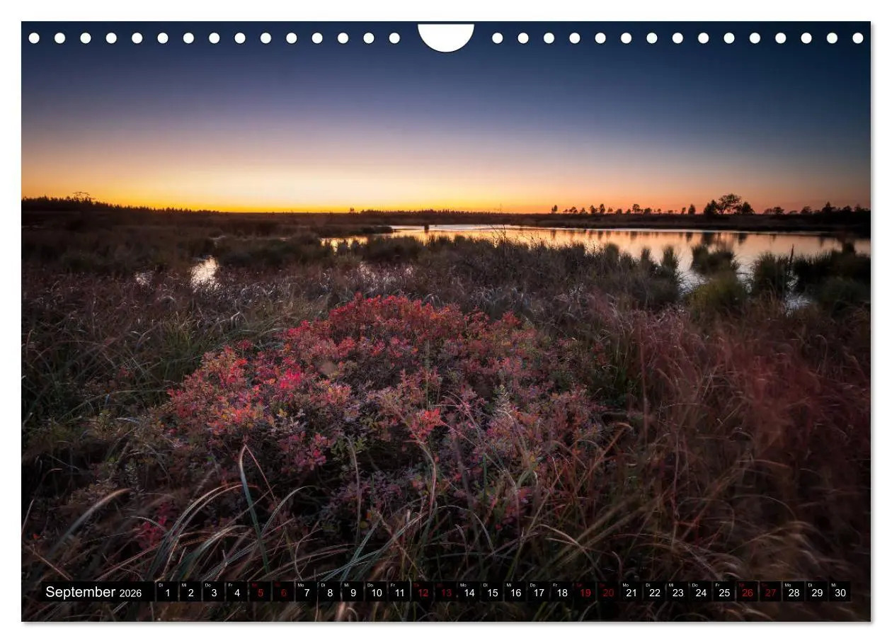 Bild: 9783457896952 | Das Hohe Venn (Wandkalender 2026 DIN A4 quer), CALVENDO Monatskalender