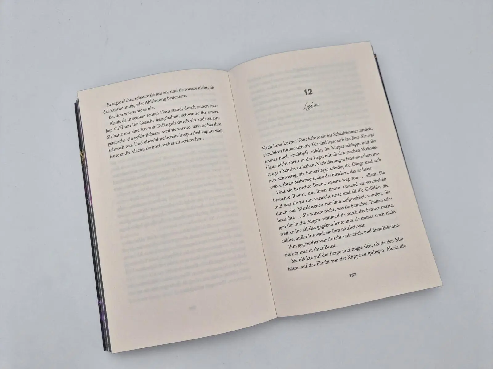 Bild: 9783492066952 | The Annihilator - Du bist seine Bestimmung | Runyx | Taschenbuch
