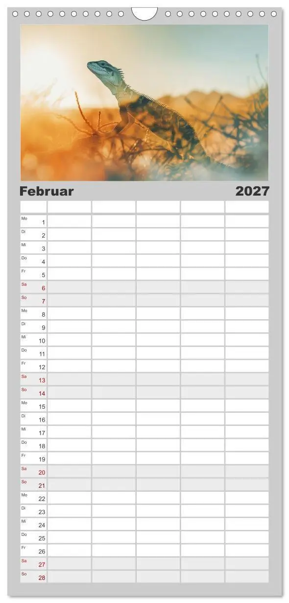 Bild: 9783594307052 | Familienplaner 2027 - Traumhafte Silhouetten mit 5 Spalten...