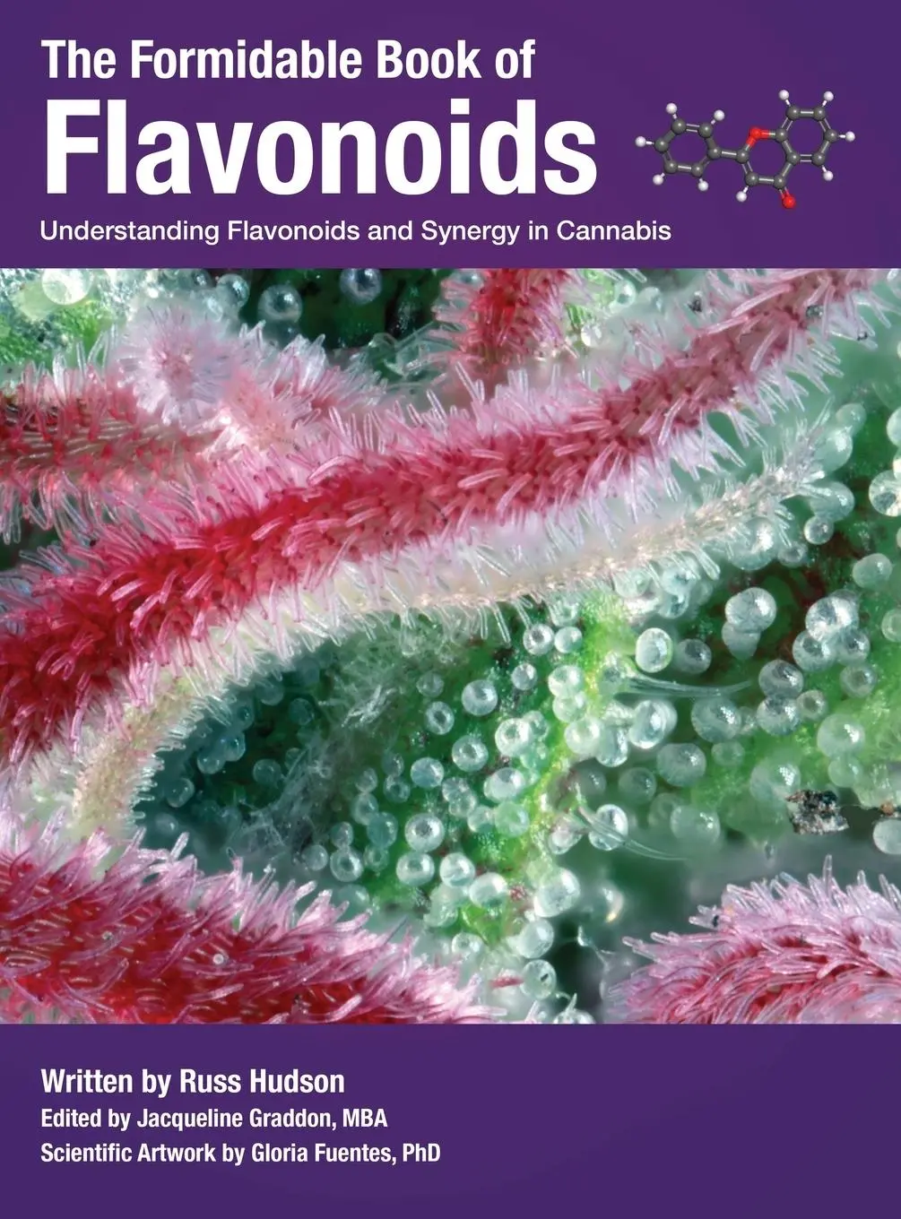Cover: 9780986357152 | The Formidable Book of Flavonoids | Hudson | Buch | Englisch | 2025