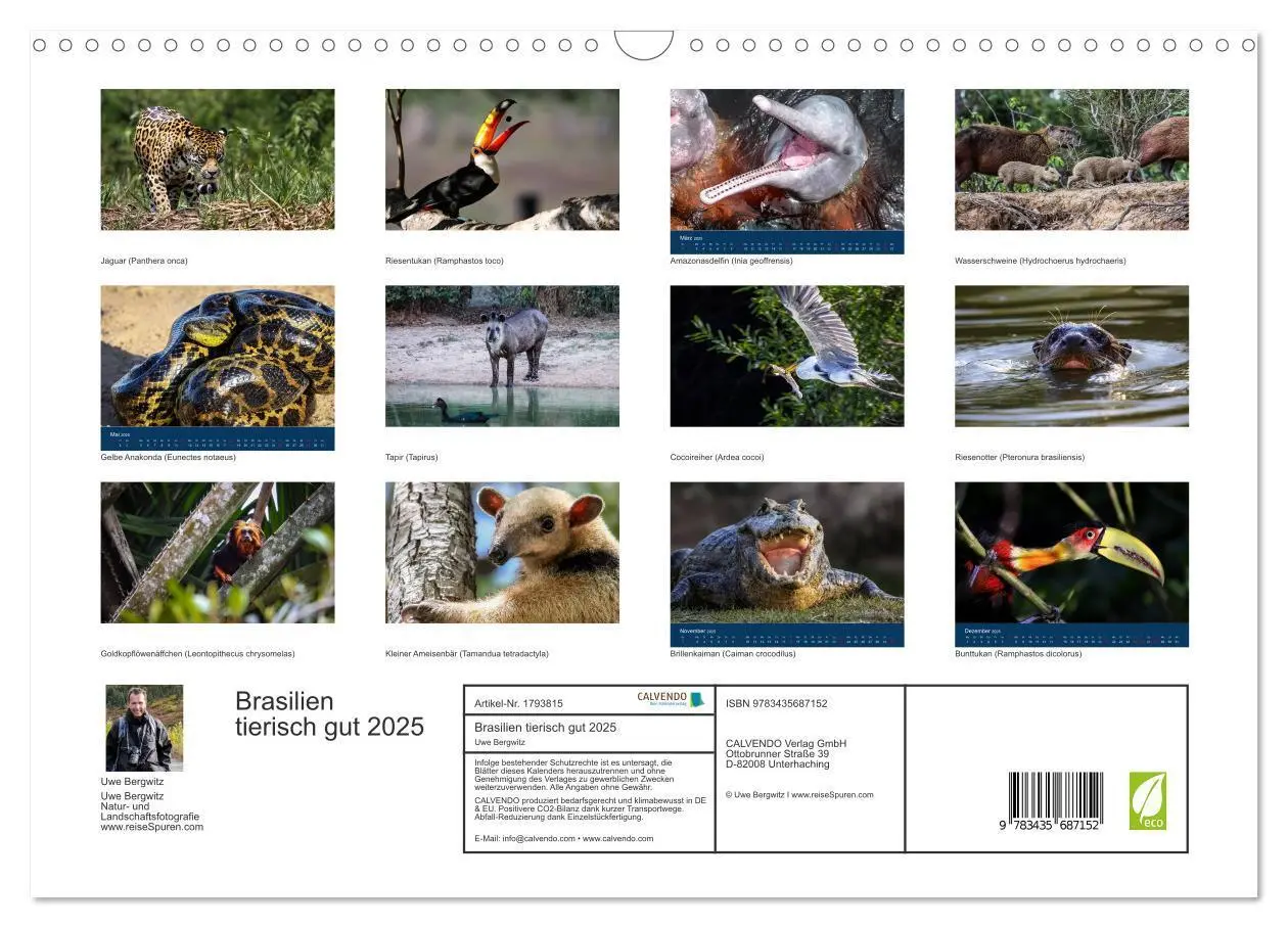 Bild: 9783435687152 | Brasilien tierisch gut 2025 (Wandkalender 2025 DIN A3 quer),...