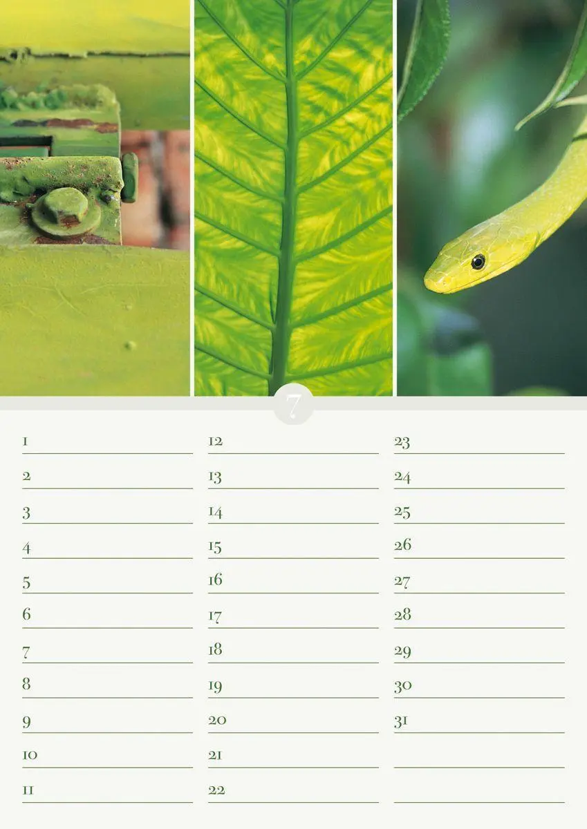 Bild: 9783840737152 | Geburtstagskalender Harmonie &amp; Farbe immerwährend | Kalender | 14 S.