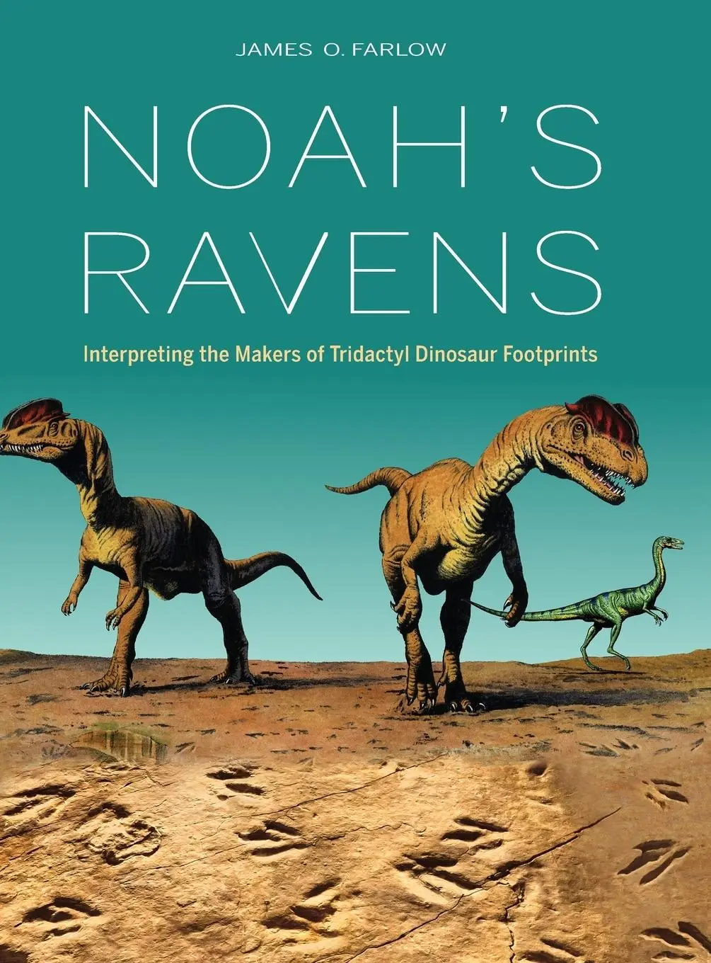 Cover: 9780253027252 | Noah's Ravens | James O Farlow | Buch | Einband - fest (Hardcover)