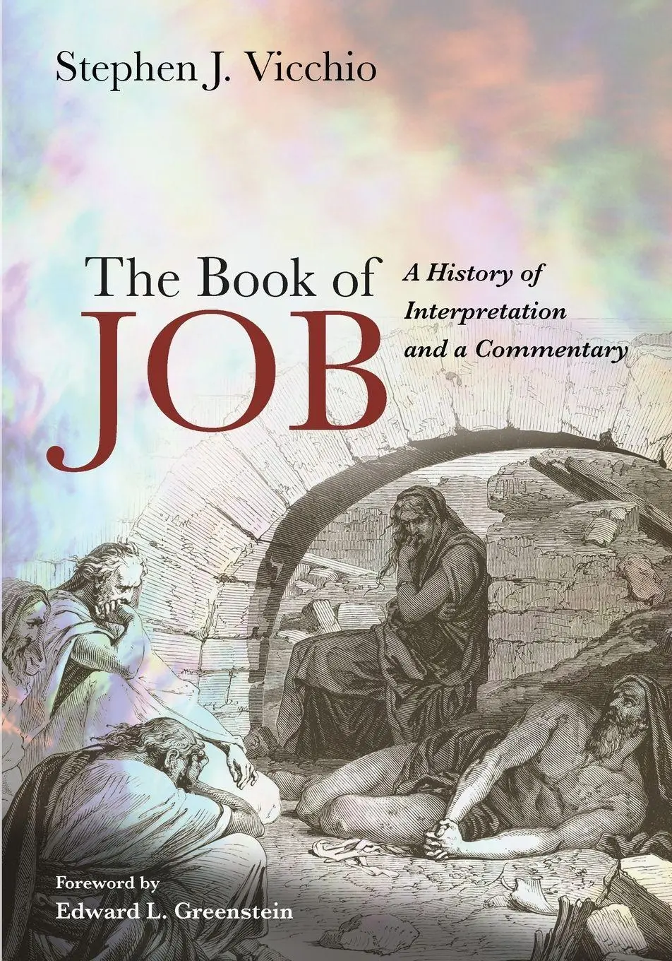 Cover: 9781725257252 | The Book of Job | Stephen J. Vicchio | Taschenbuch | Englisch | 2020