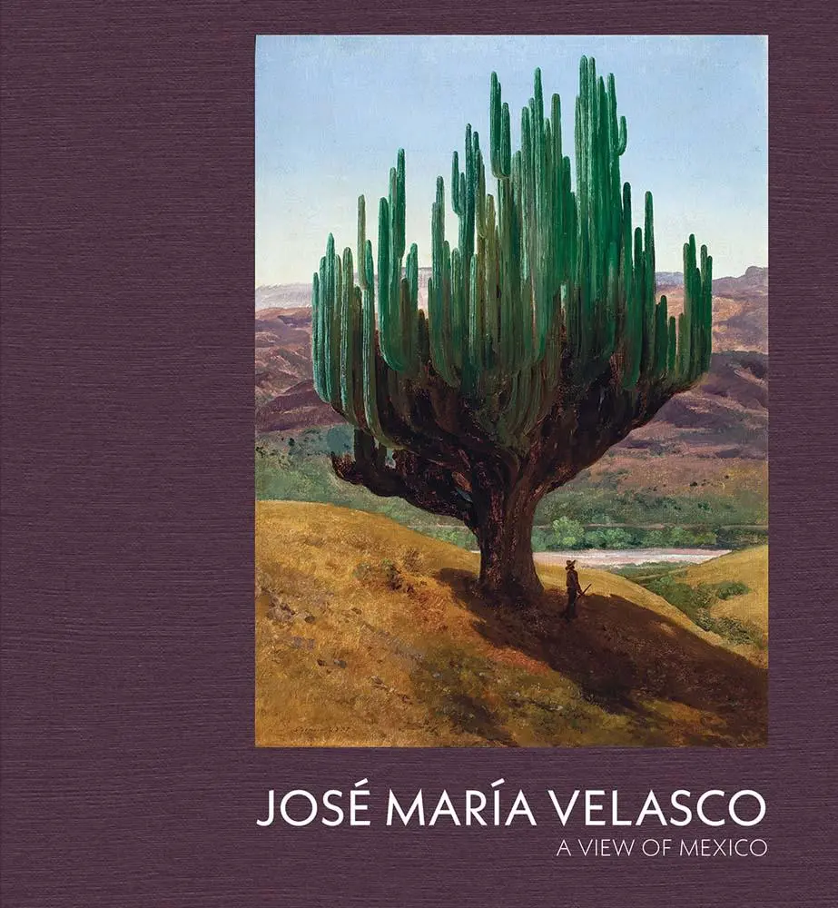 Cover: 9781857097252 | Jose Maria Velasco | A View of Mexico | Dexter Dalwood (u. a.) | Buch