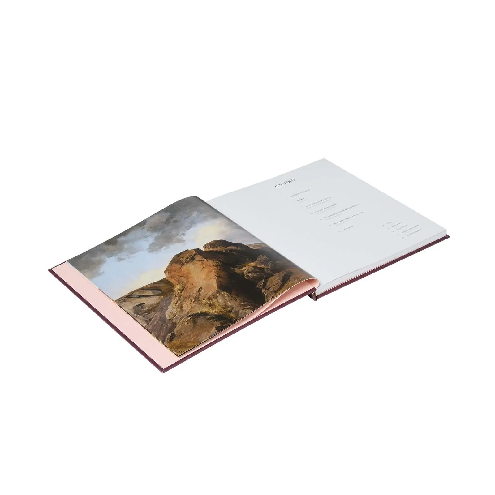 Bild: 9781857097252 | Jose Maria Velasco | A View of Mexico | Daniel Sobrino Ralston (u. a.)