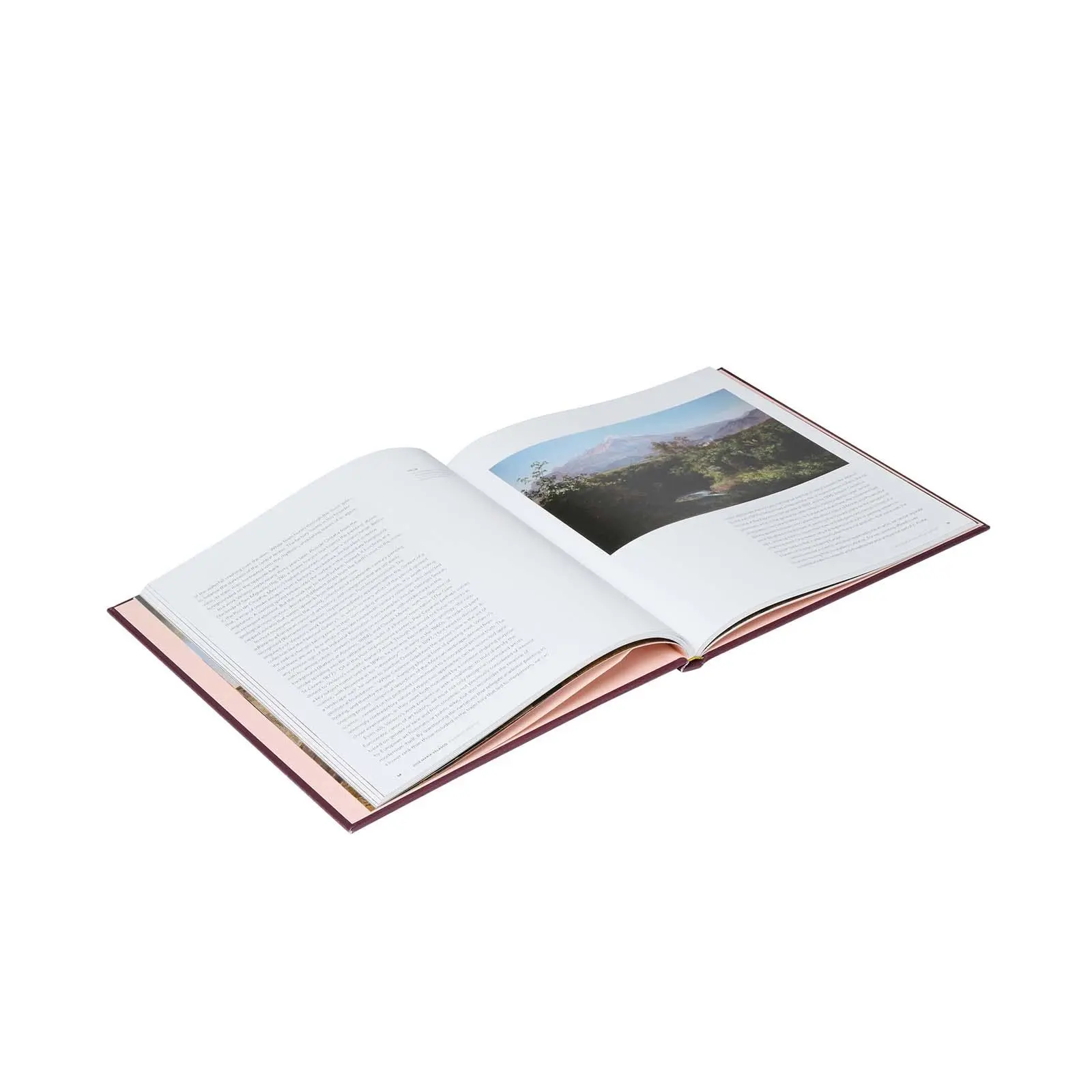 Bild: 9781857097252 | Jose Maria Velasco | A View of Mexico | Daniel Sobrino Ralston (u. a.)