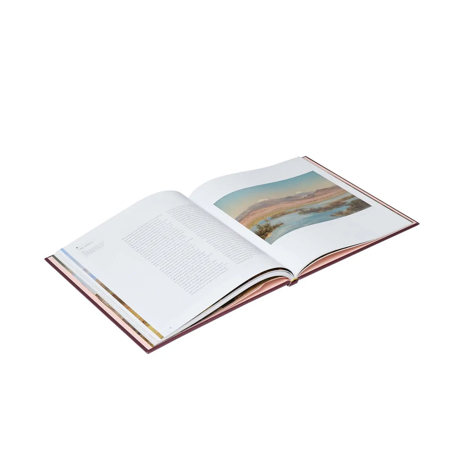 Bild: 9781857097252 | Jose Maria Velasco | A View of Mexico | Daniel Sobrino Ralston (u. a.)